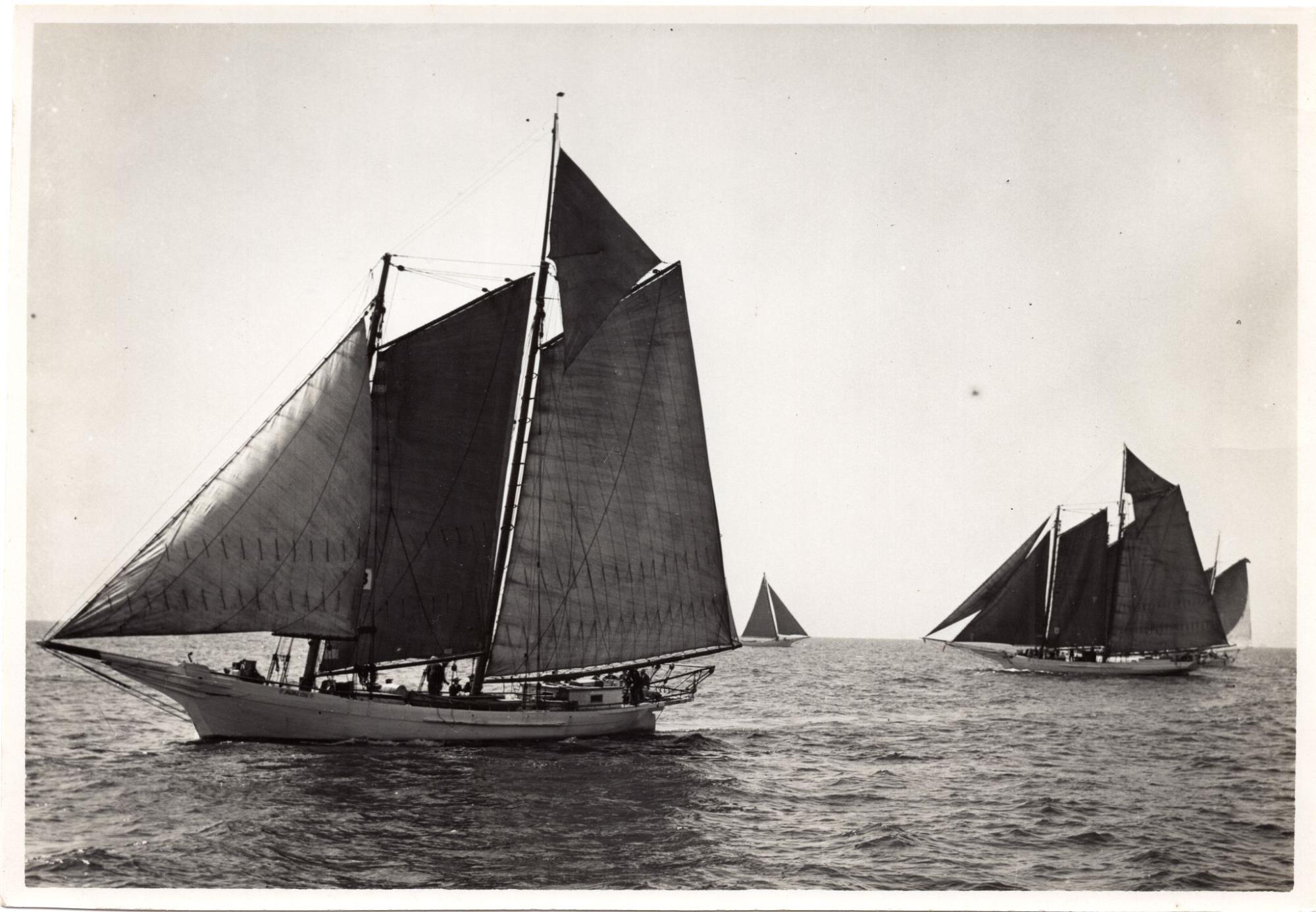 CBMM catalog image