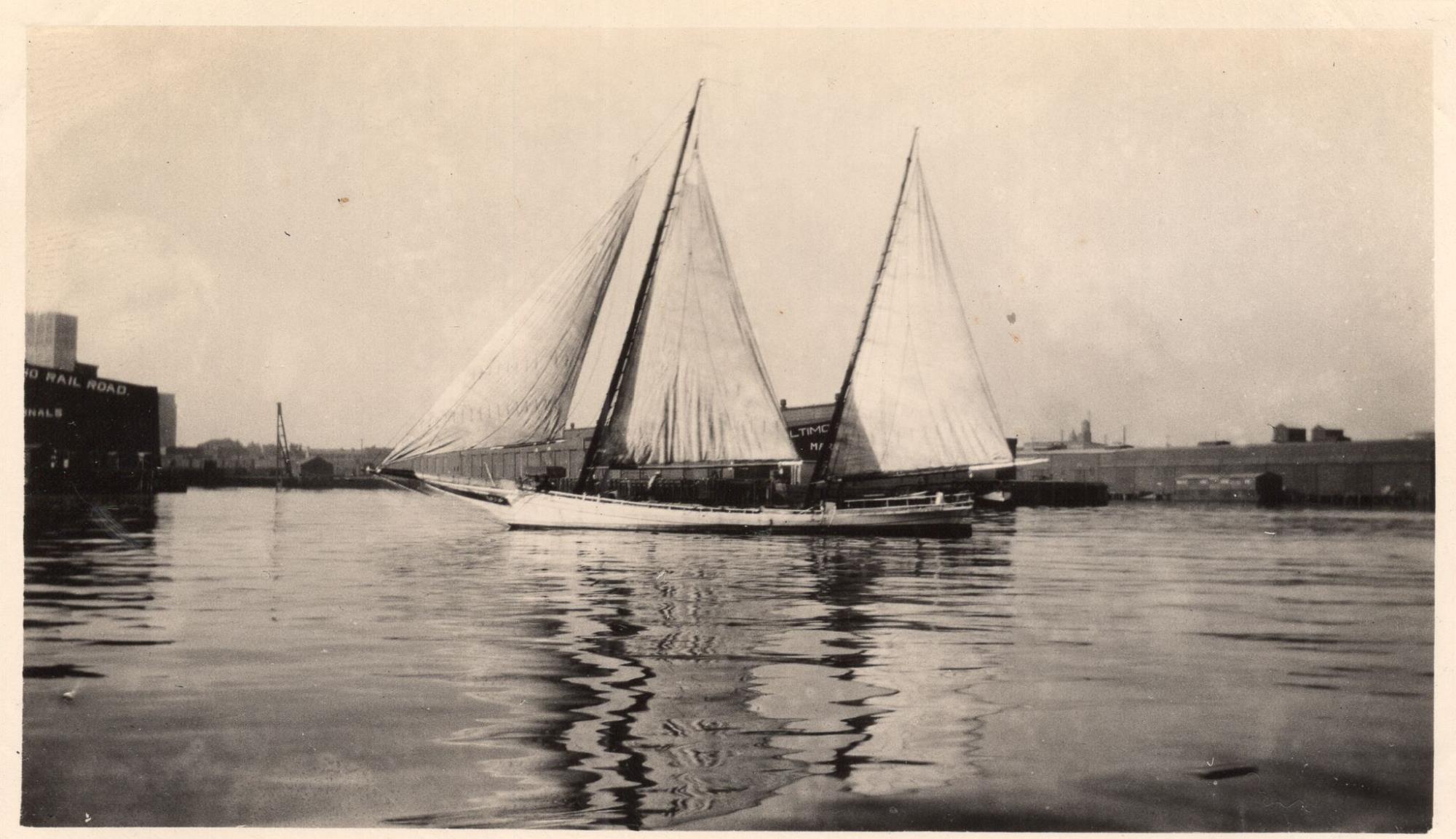 CBMM catalog image