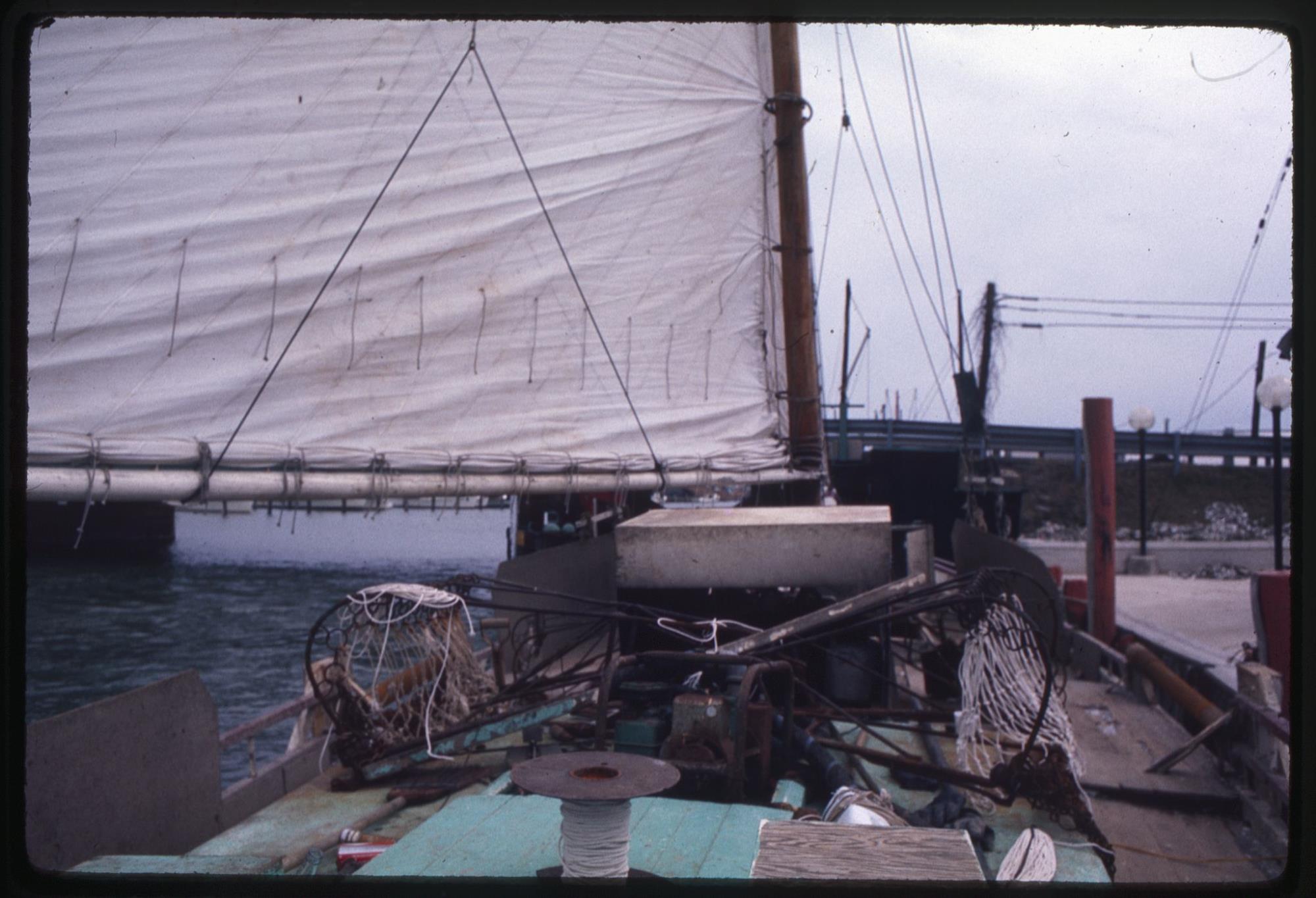 CBMM catalog image