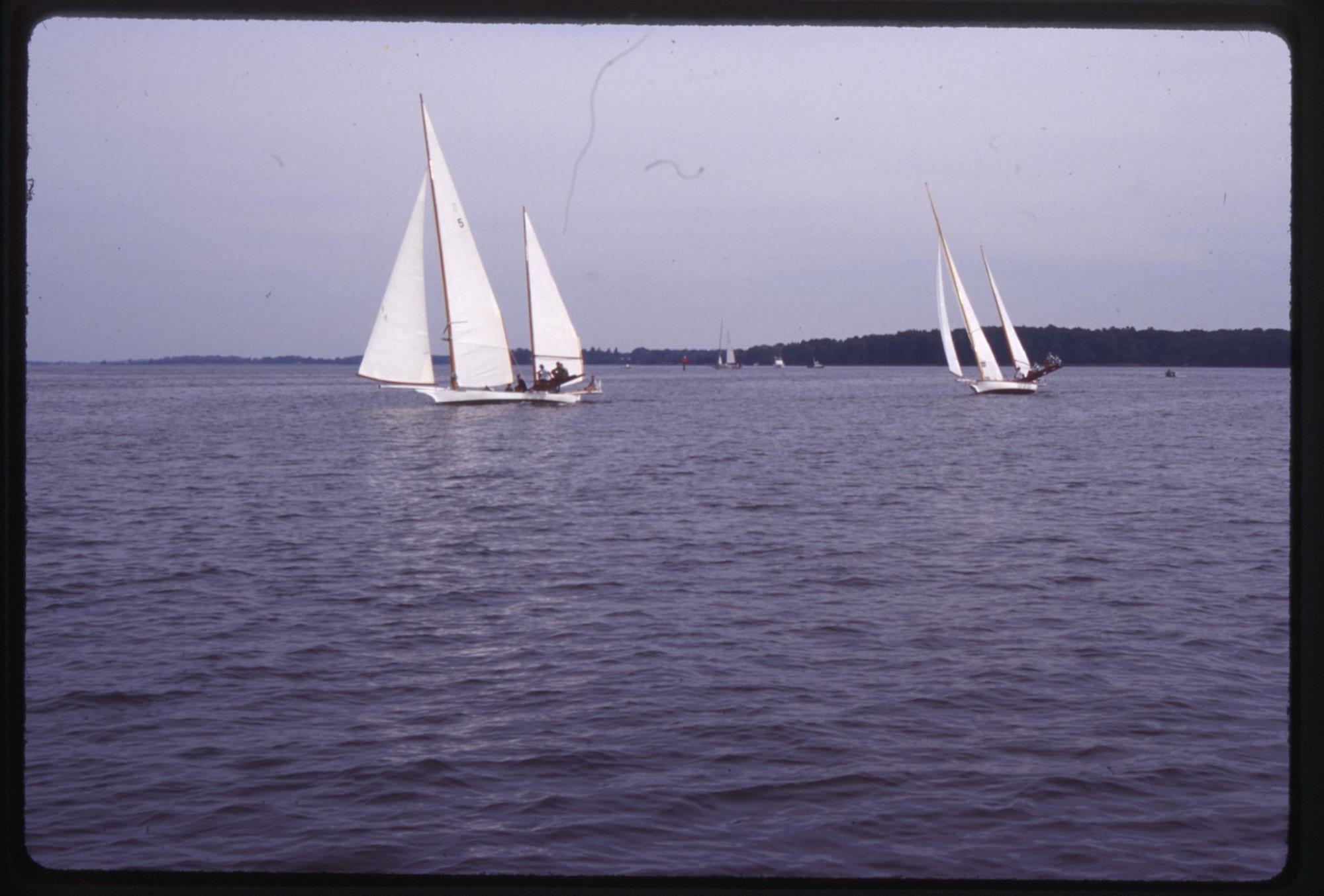 CBMM catalog image