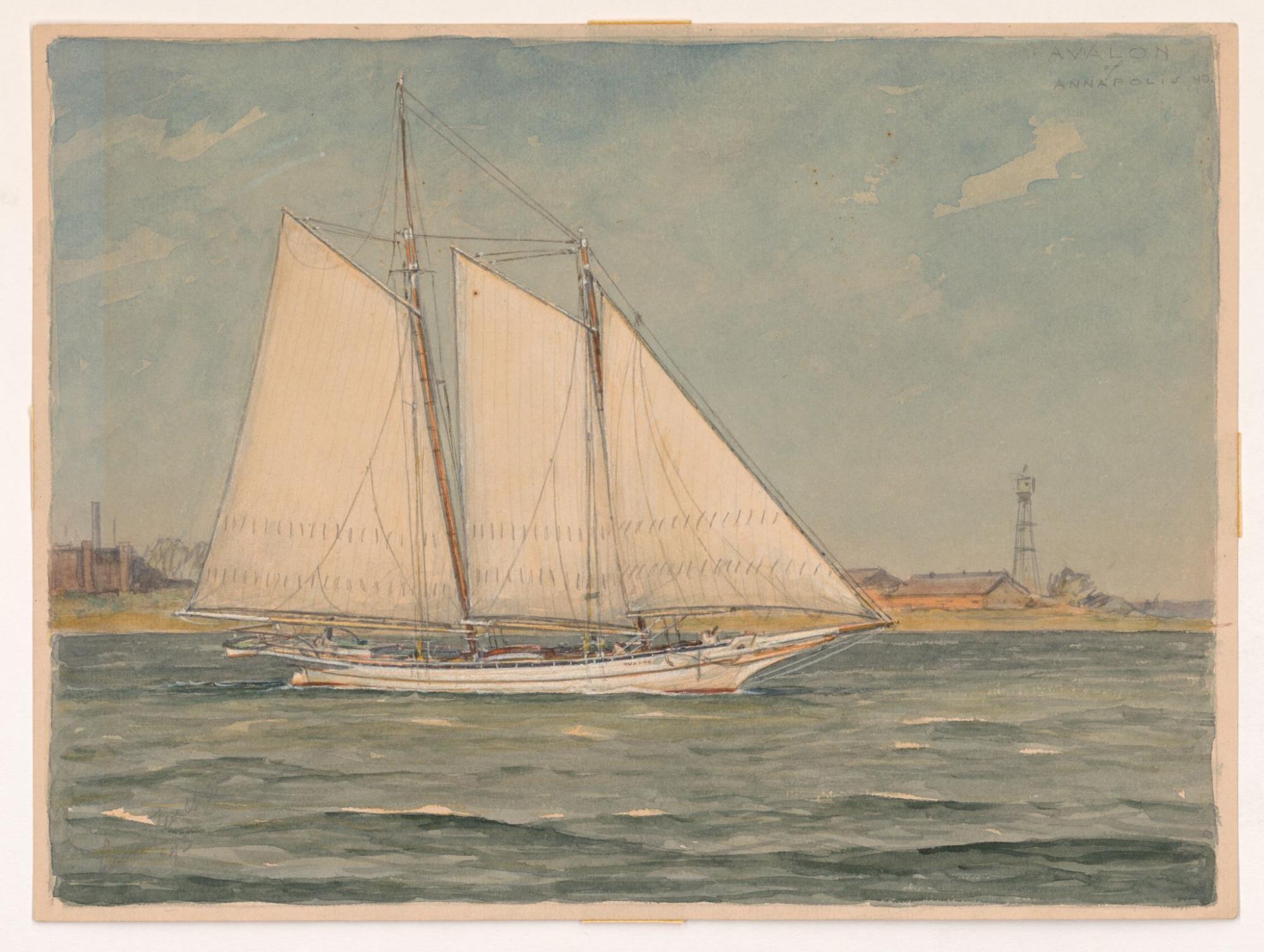 CBMM catalog image