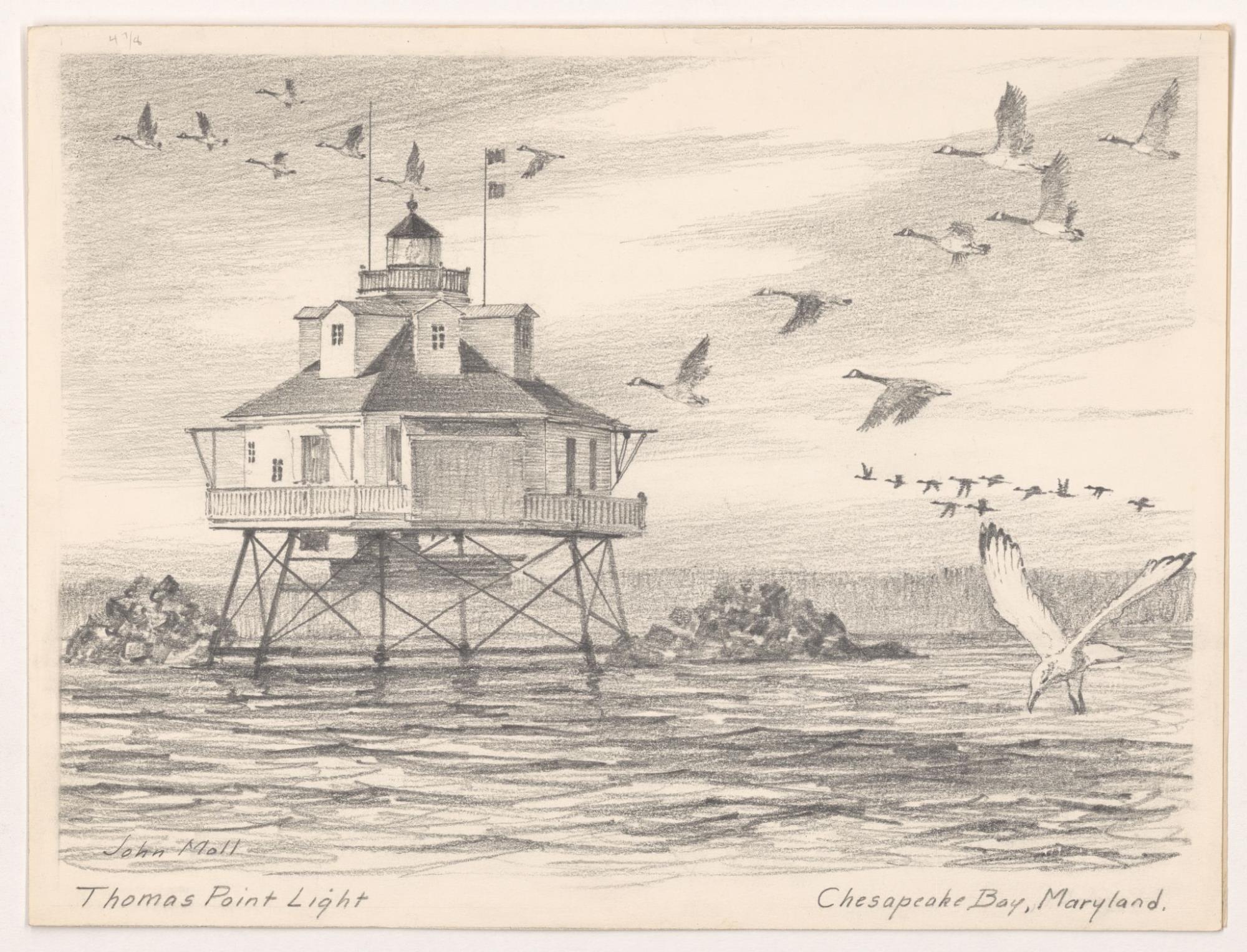 CBMM catalog image