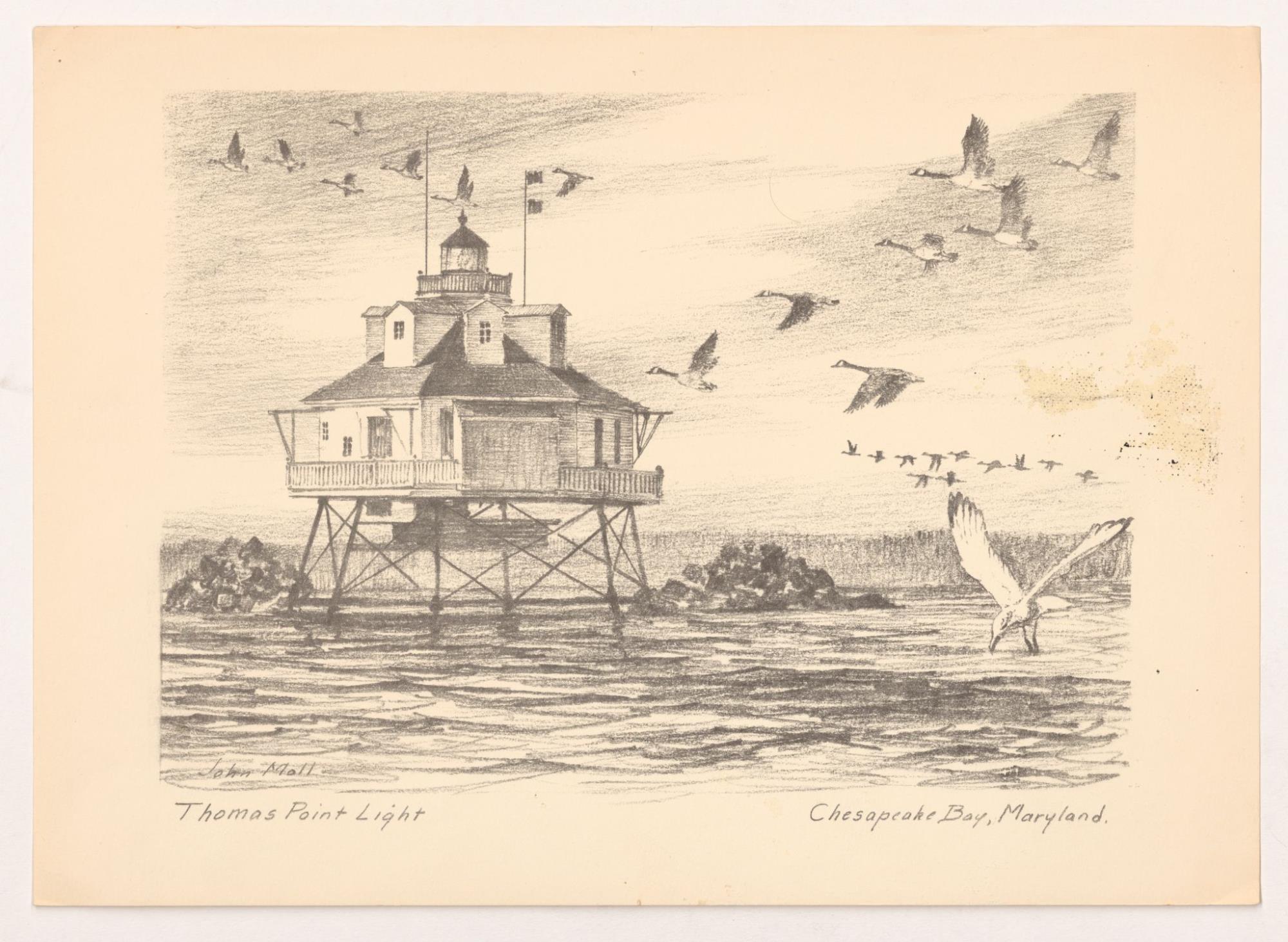 CBMM catalog image