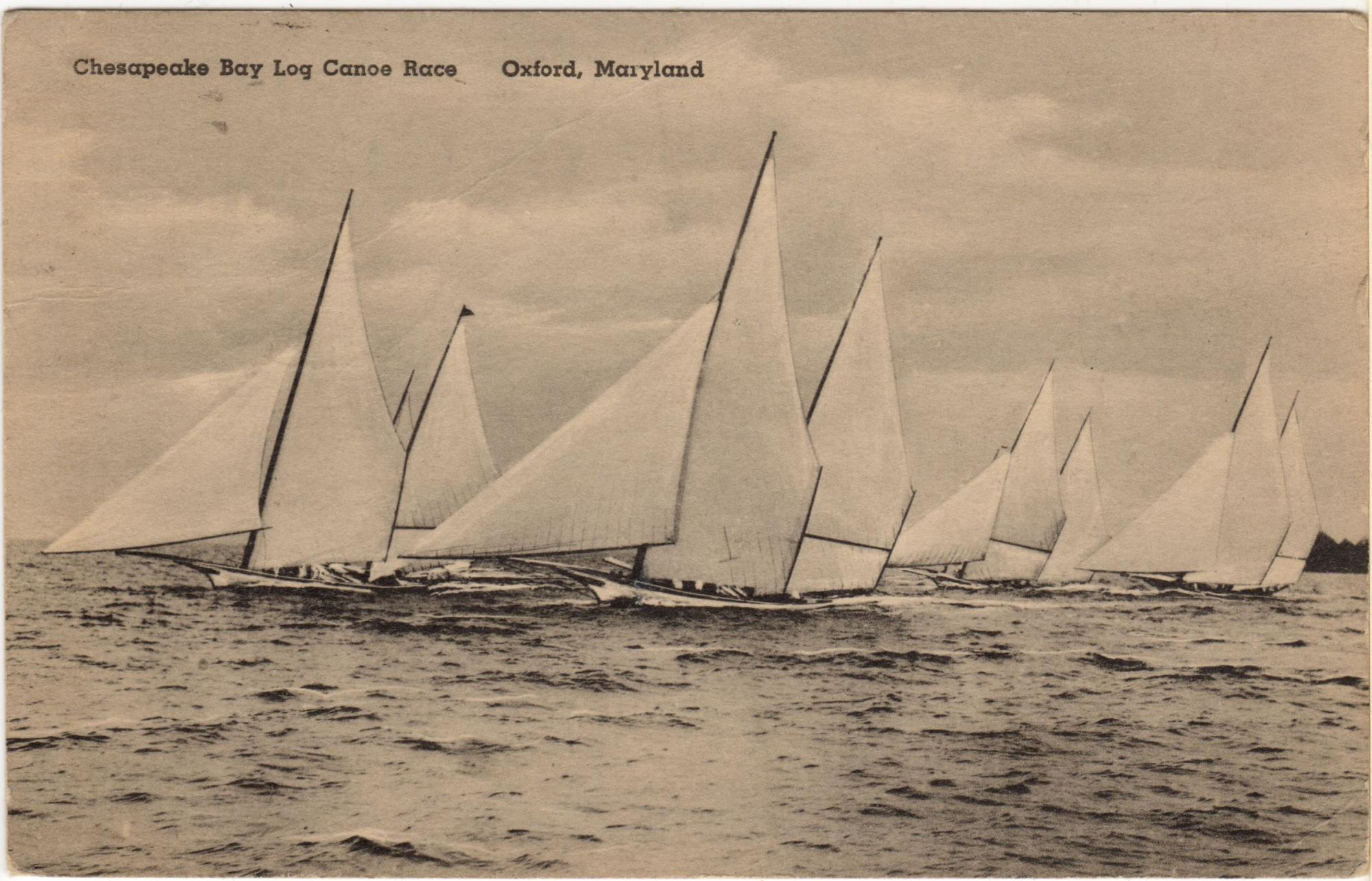 CBMM catalog image
