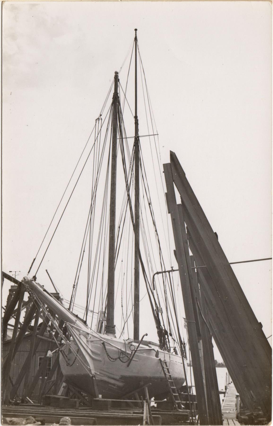 CBMM catalog image