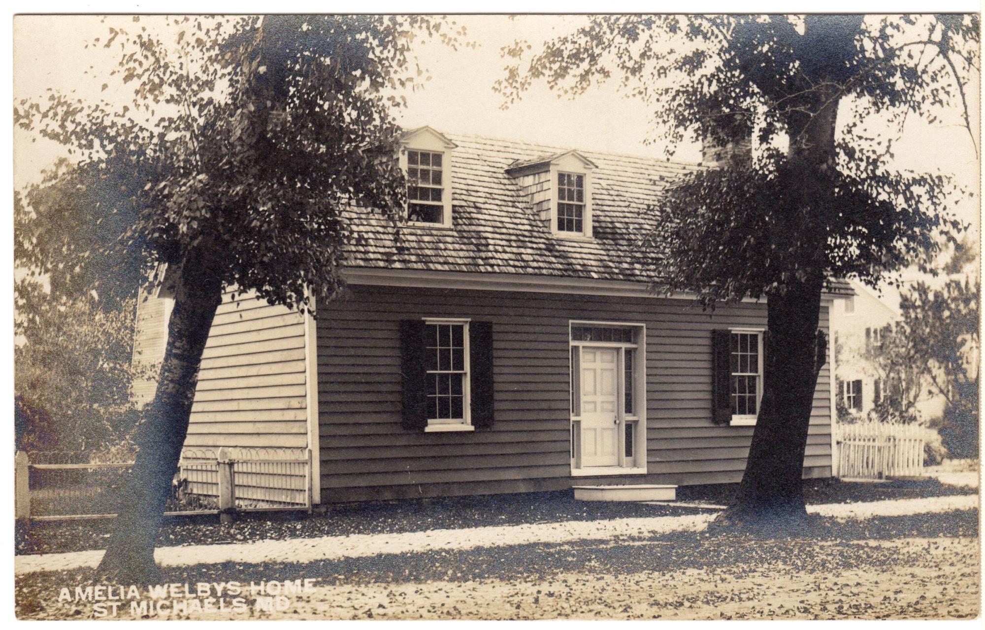 CBMM catalog image