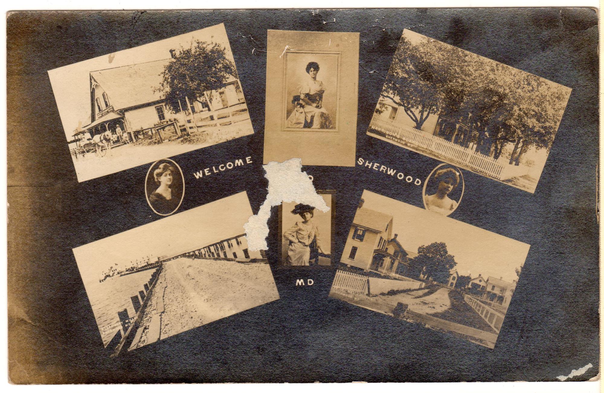 CBMM catalog image