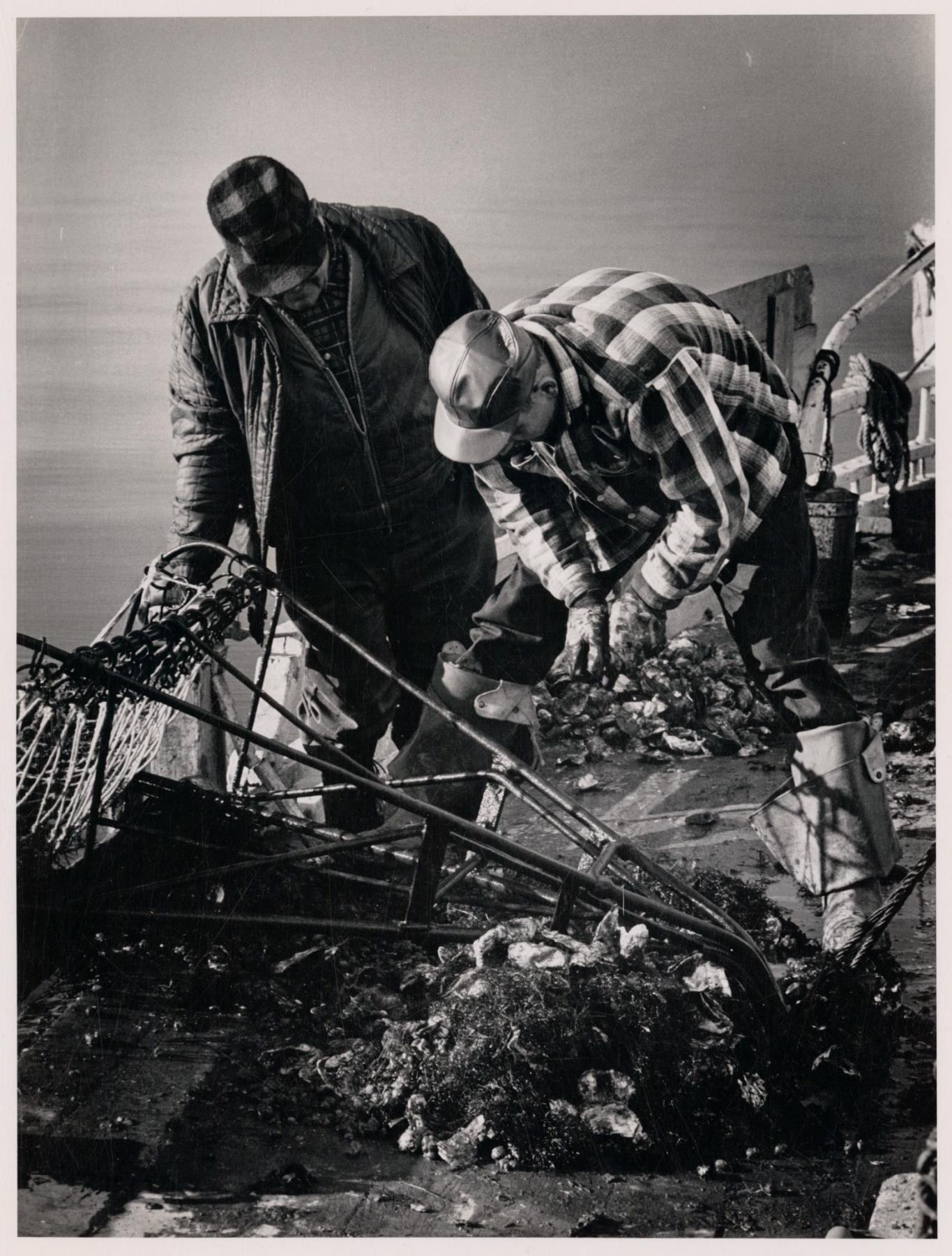 CBMM catalog image