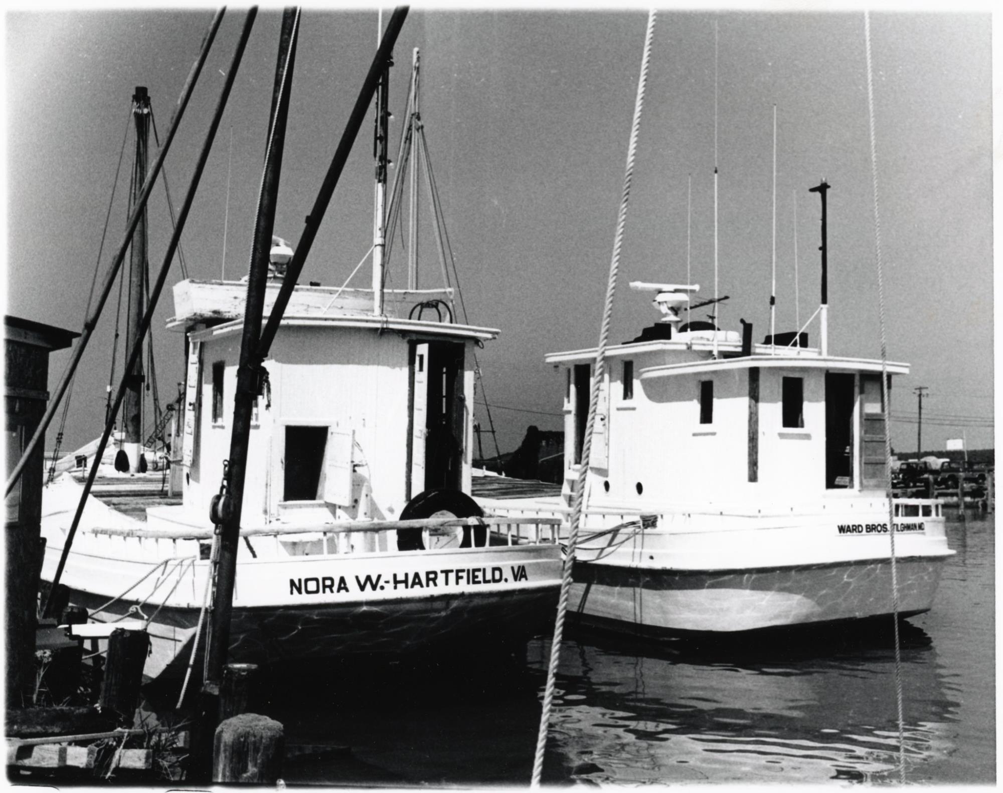 CBMM catalog image