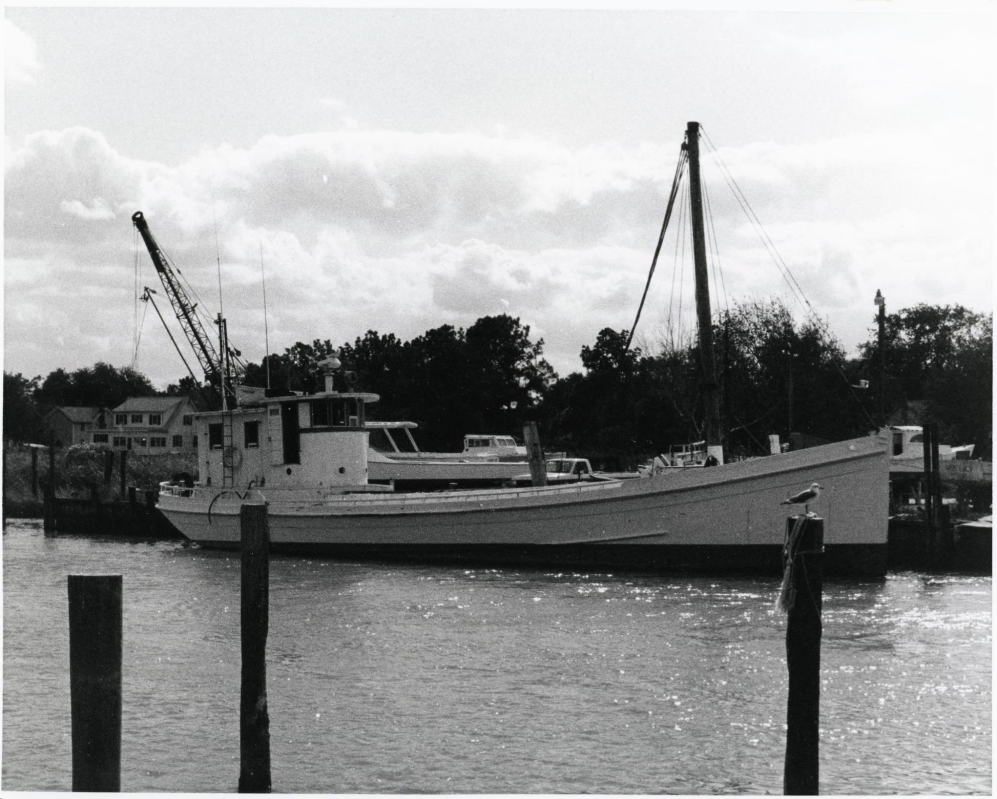 CBMM catalog image