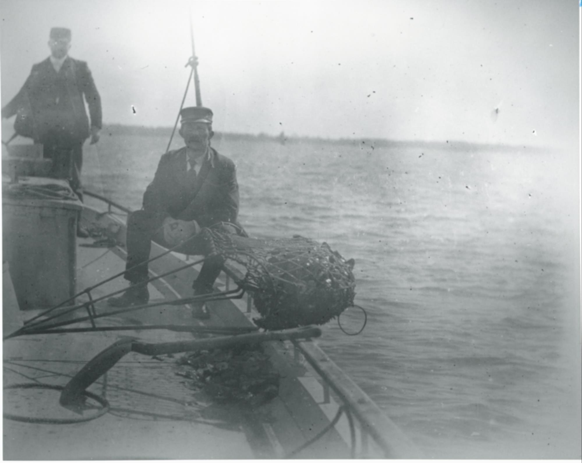 CBMM catalog image