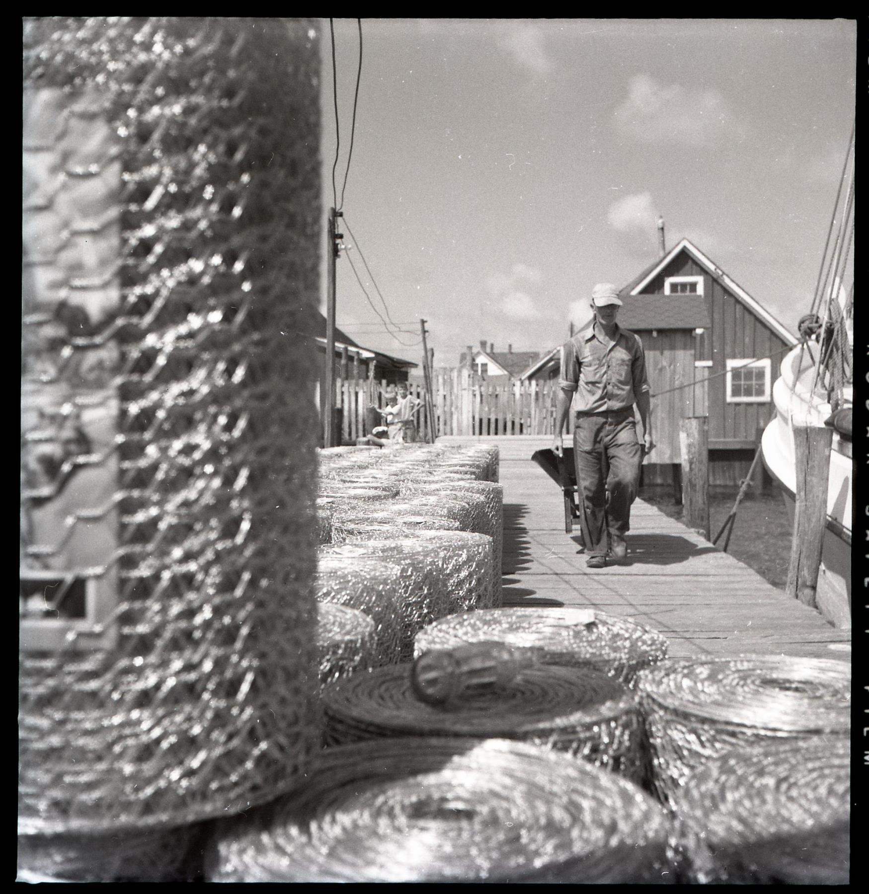 CBMM catalog image