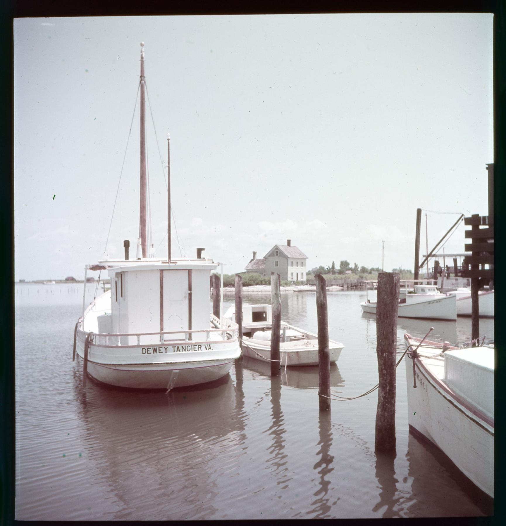 CBMM catalog image