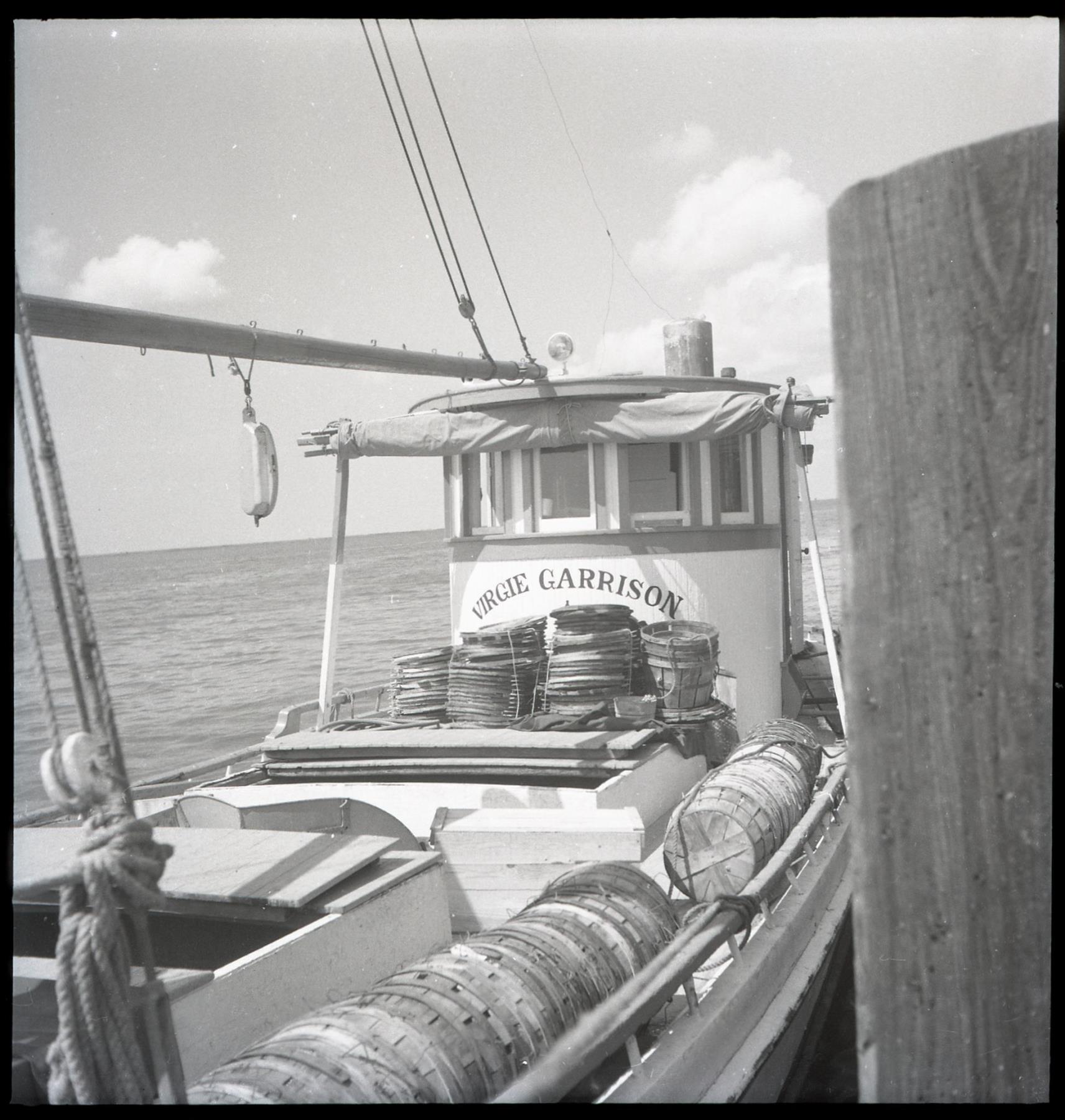 CBMM catalog image