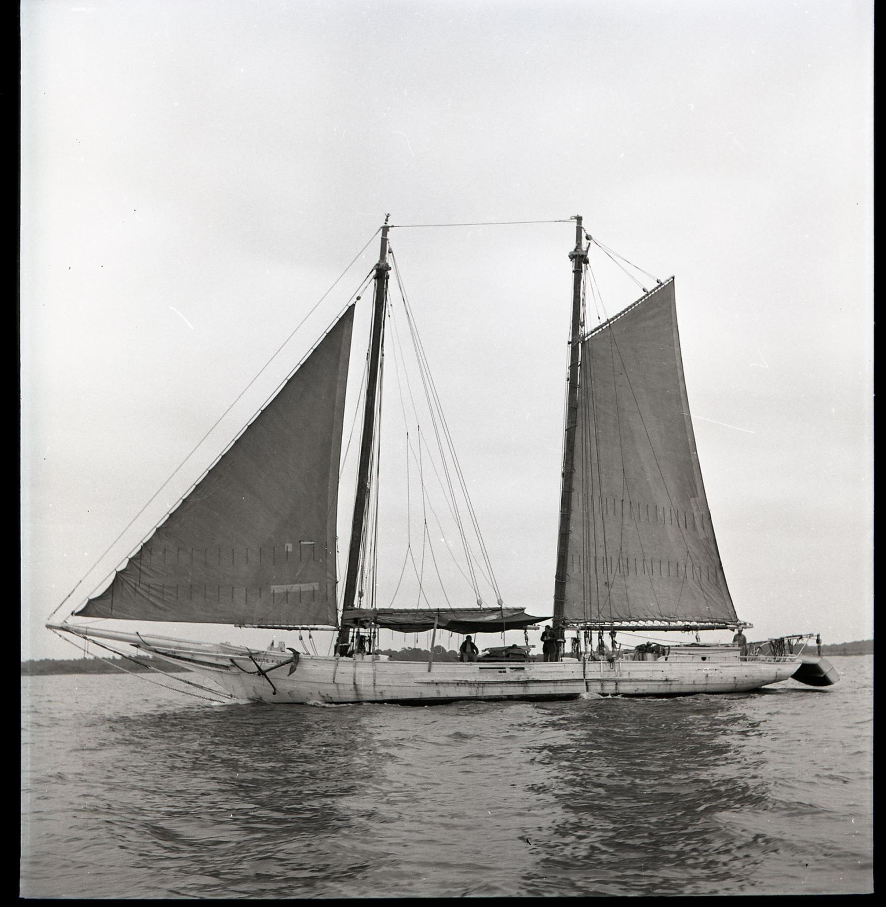 CBMM catalog image