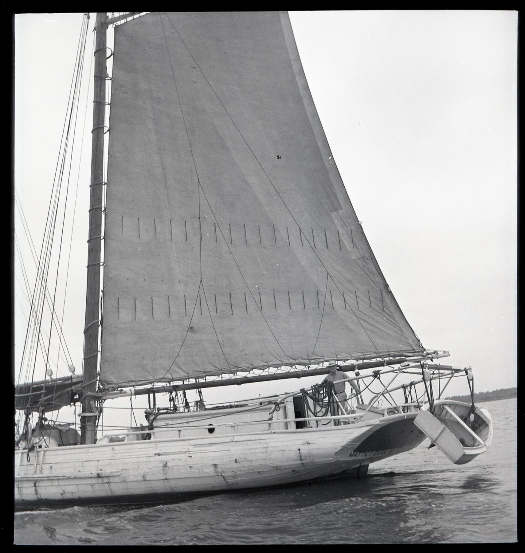 CBMM catalog image