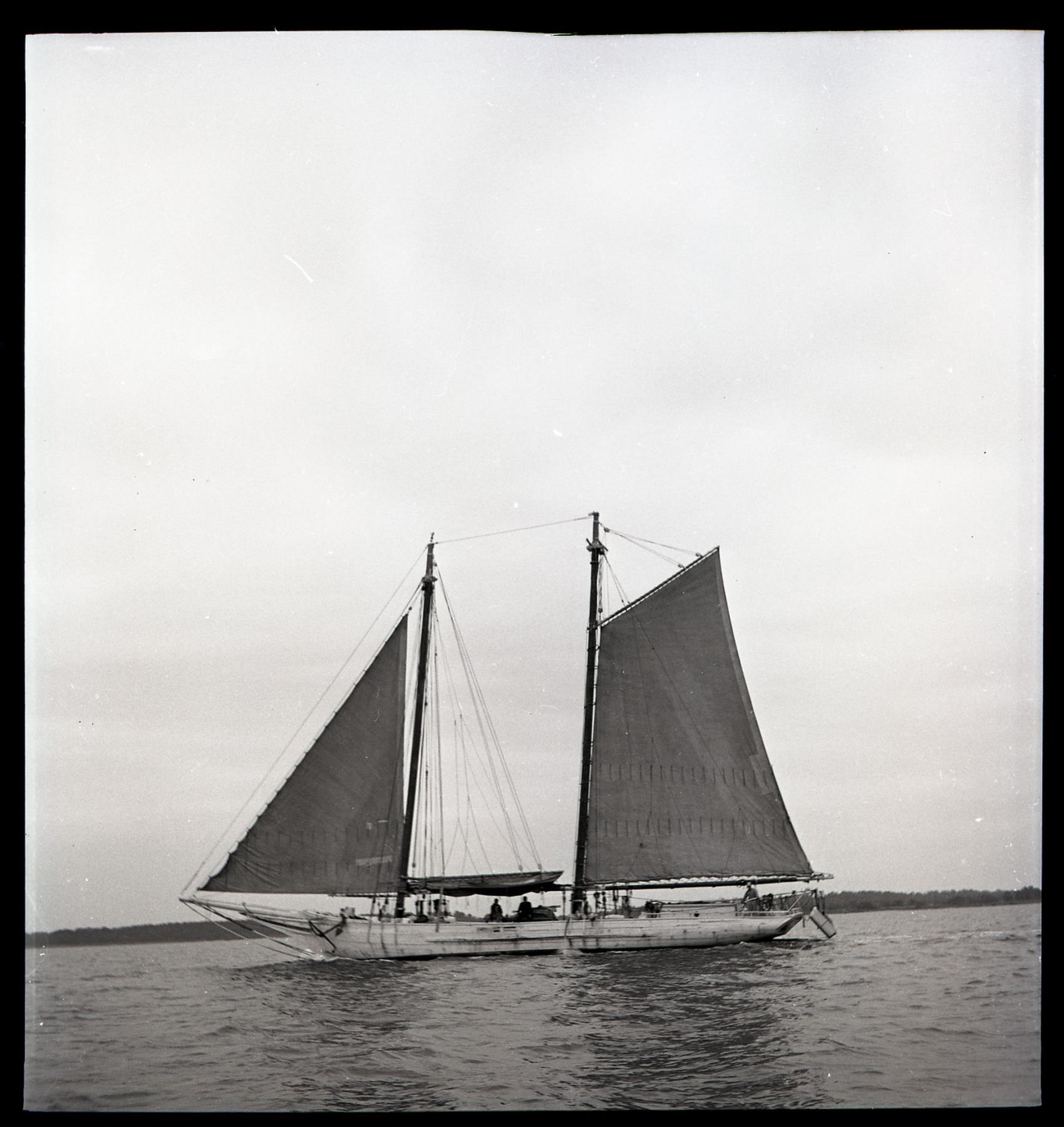 CBMM catalog image