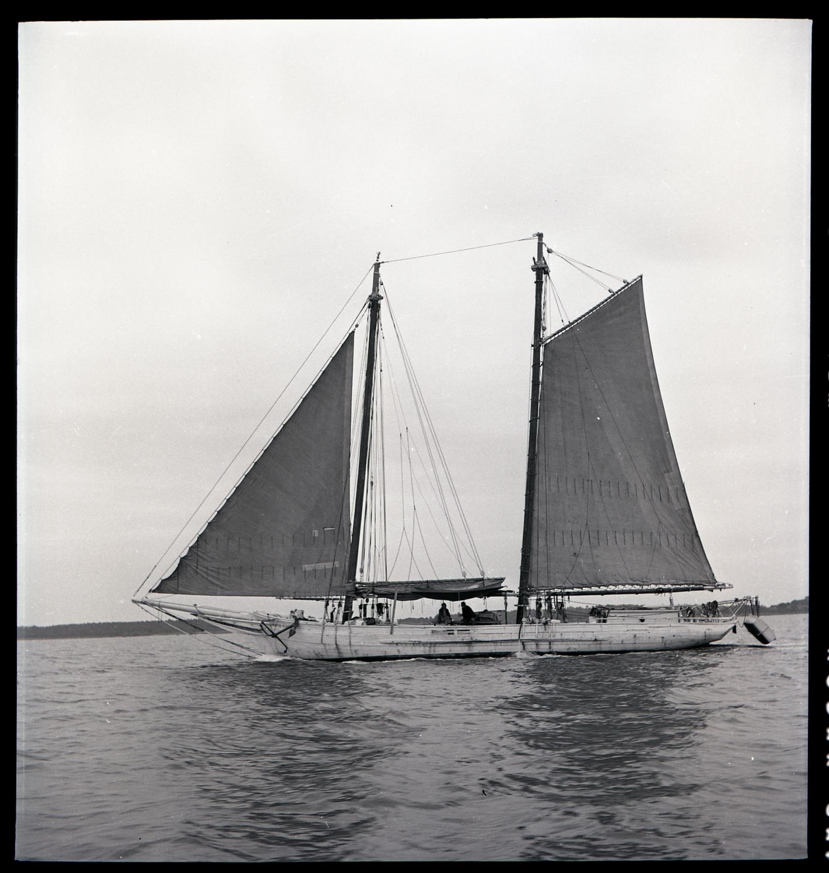 CBMM catalog image