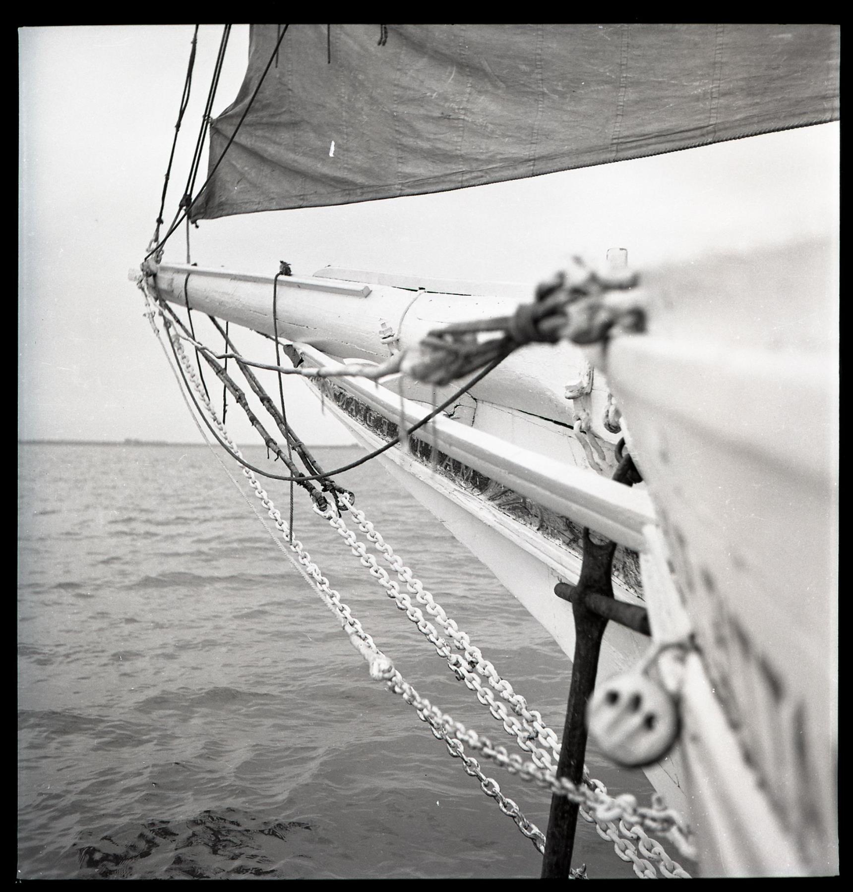 CBMM catalog image