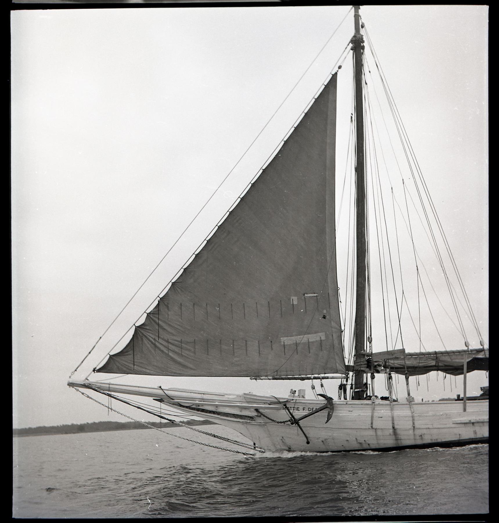 CBMM catalog image