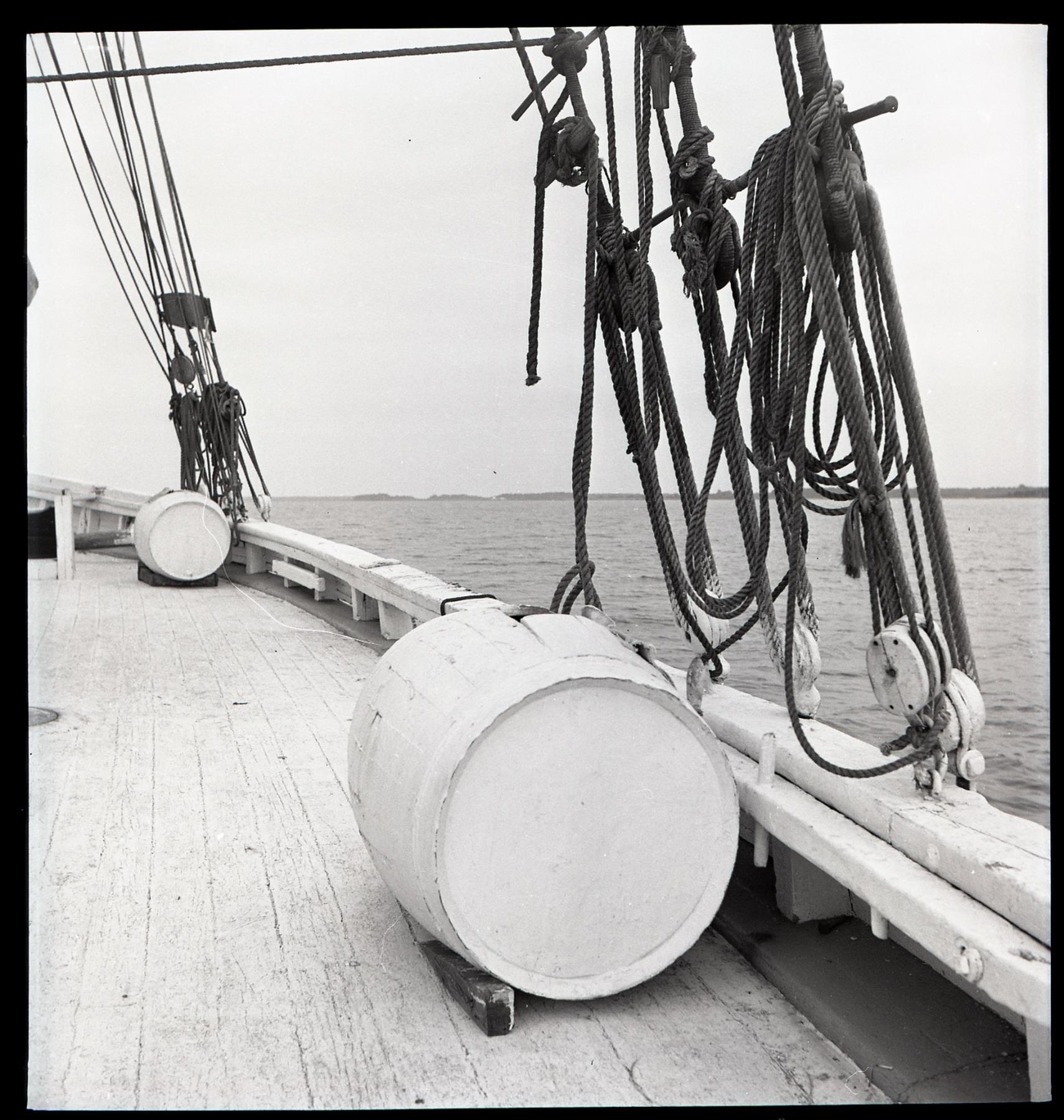 CBMM catalog image