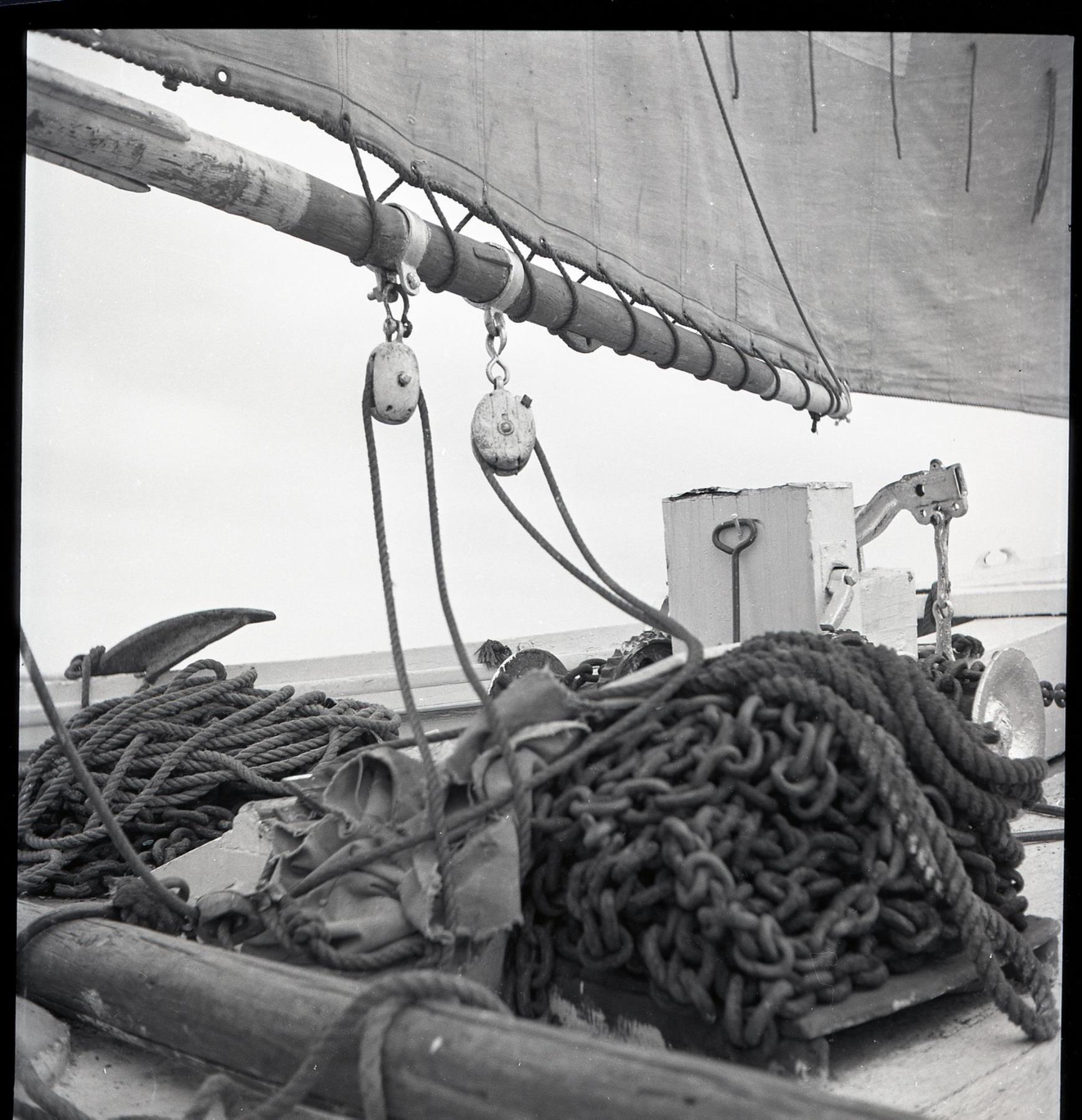 CBMM catalog image