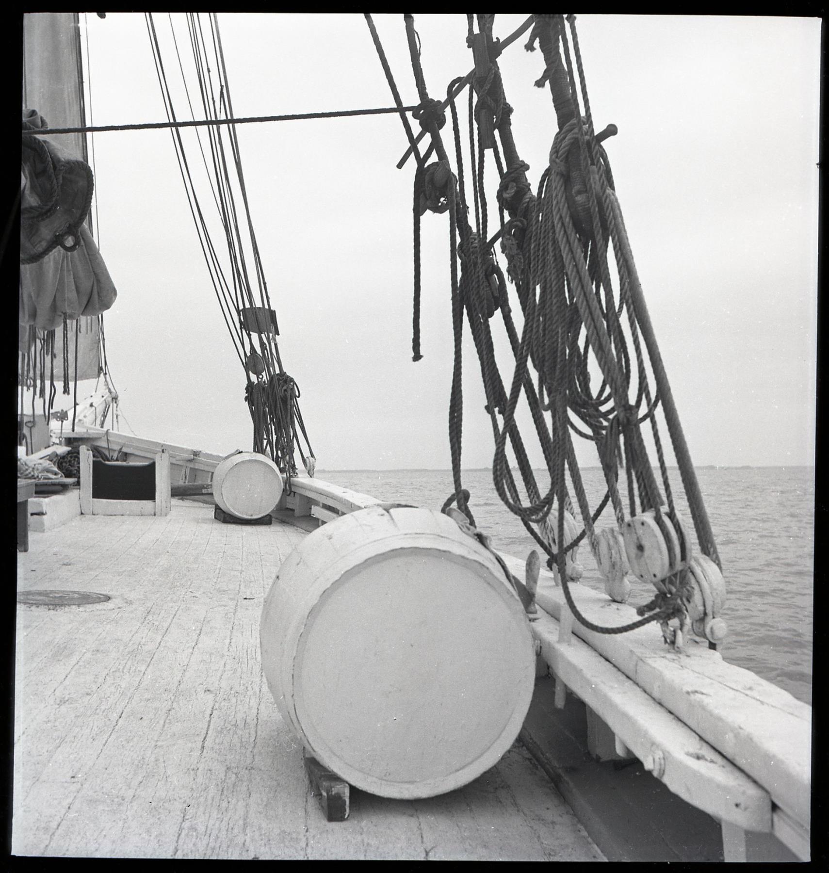 CBMM catalog image