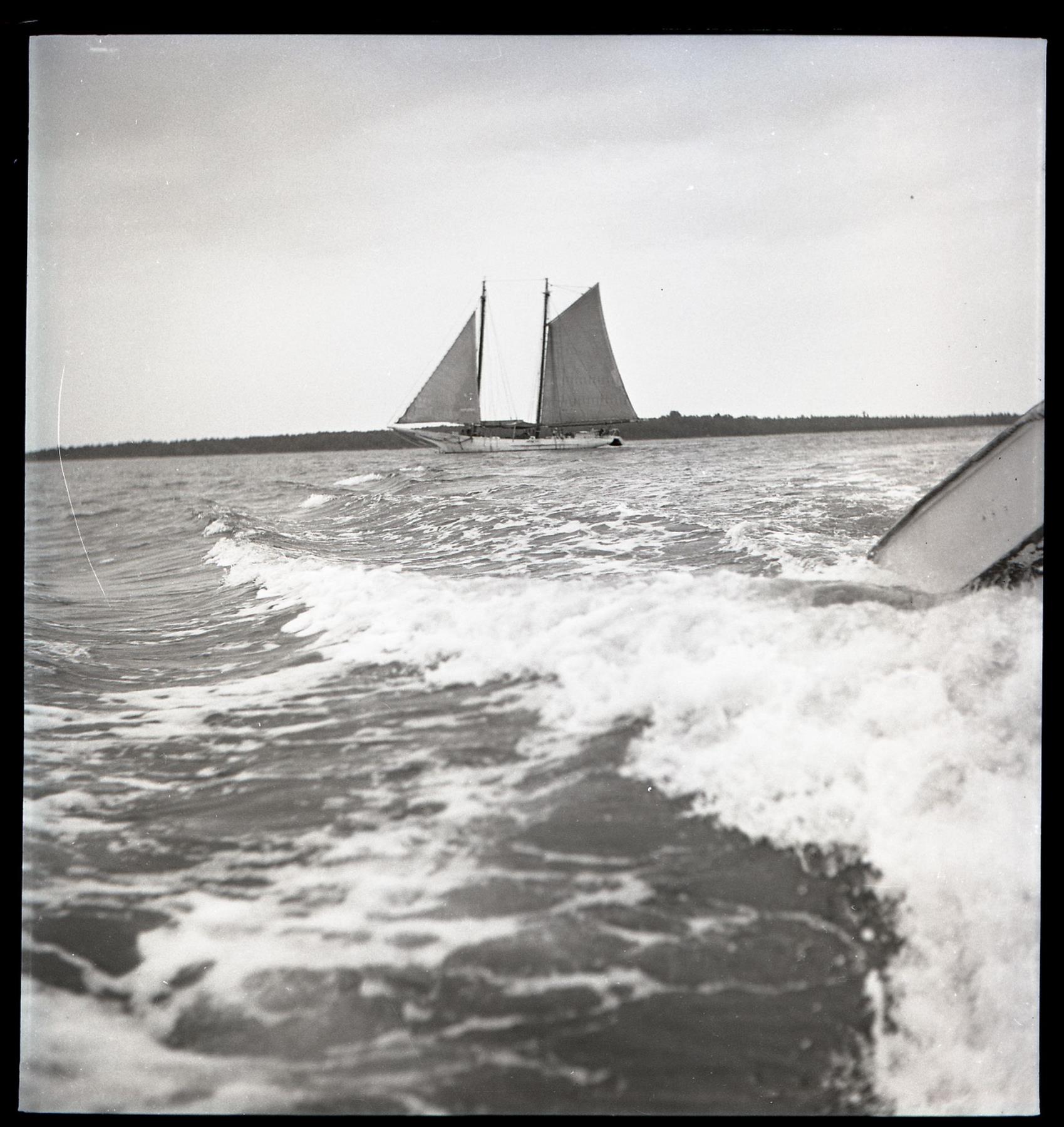 CBMM catalog image