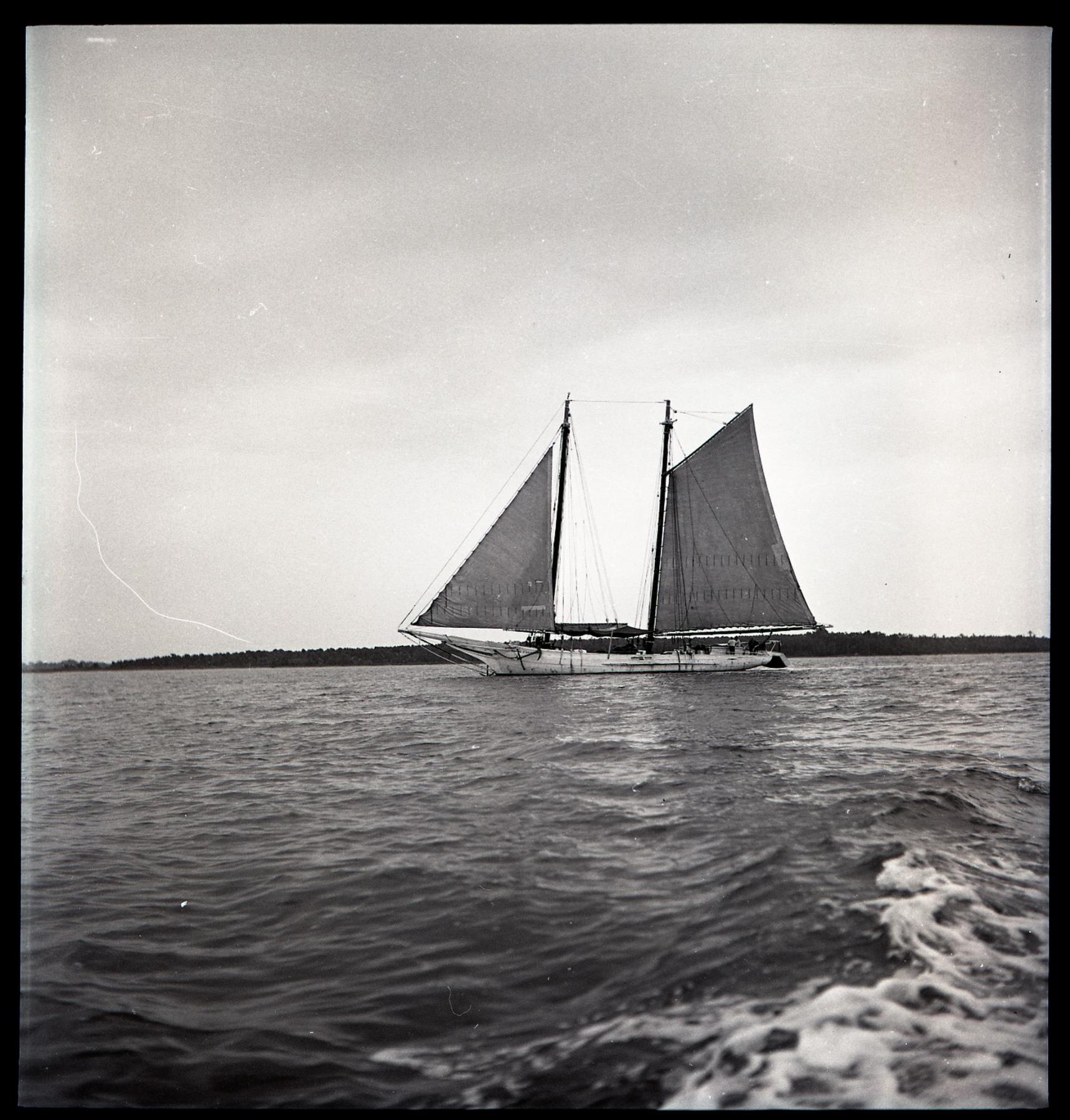 CBMM catalog image