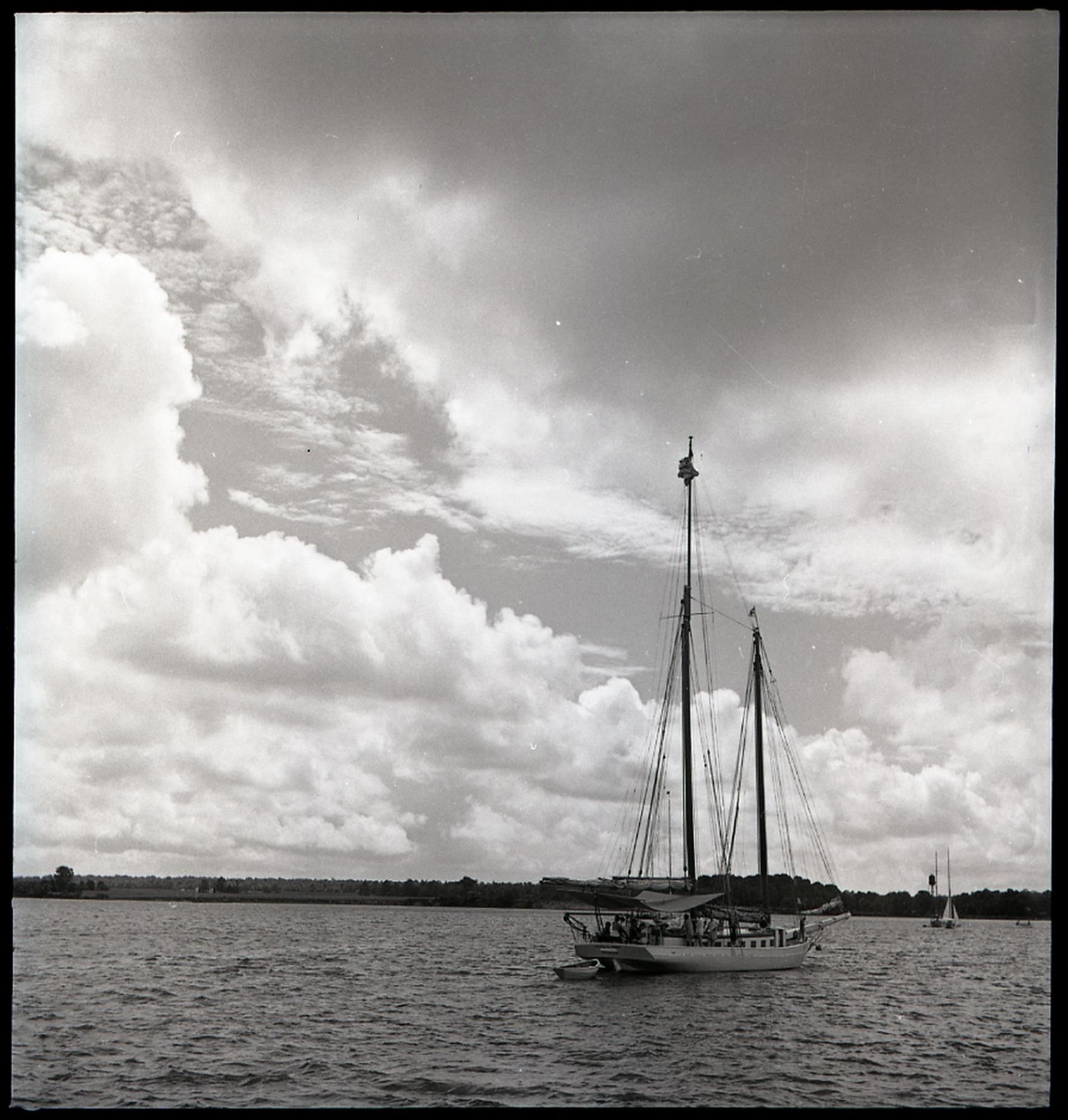 CBMM catalog image