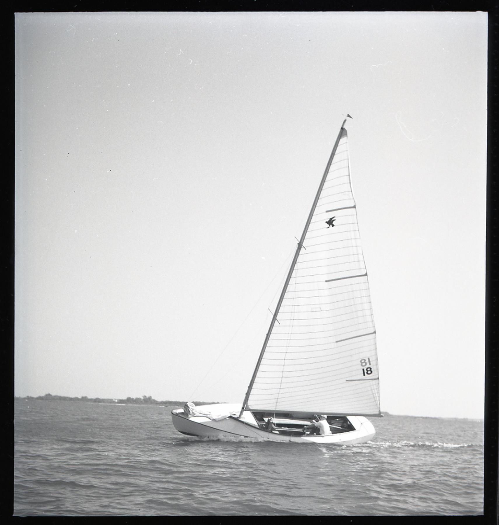 CBMM catalog image