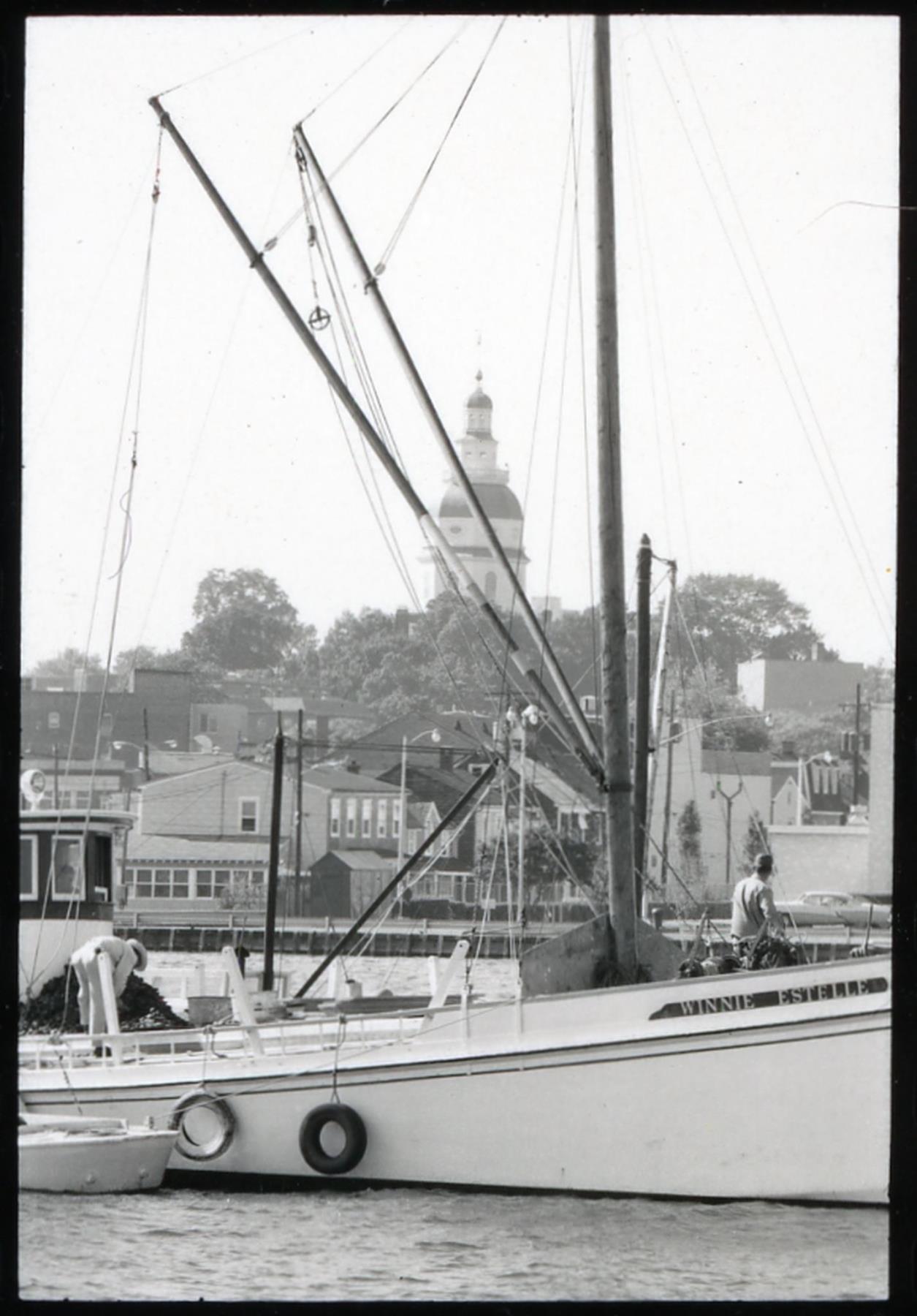 CBMM catalog image