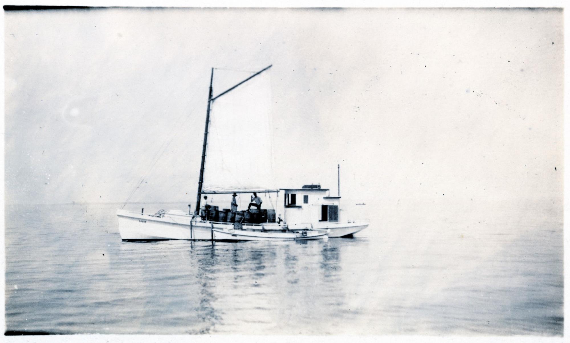 CBMM catalog image