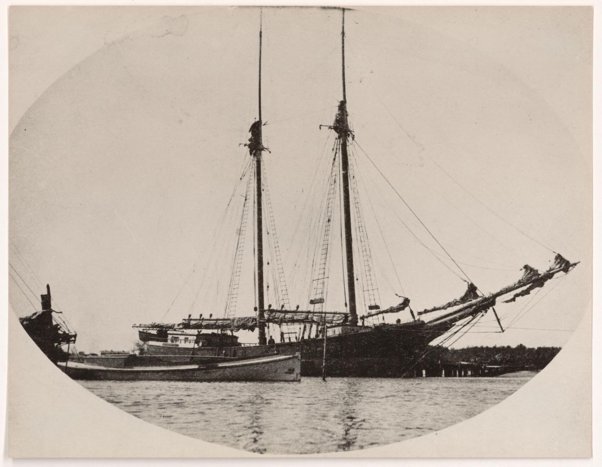 CBMM catalog image