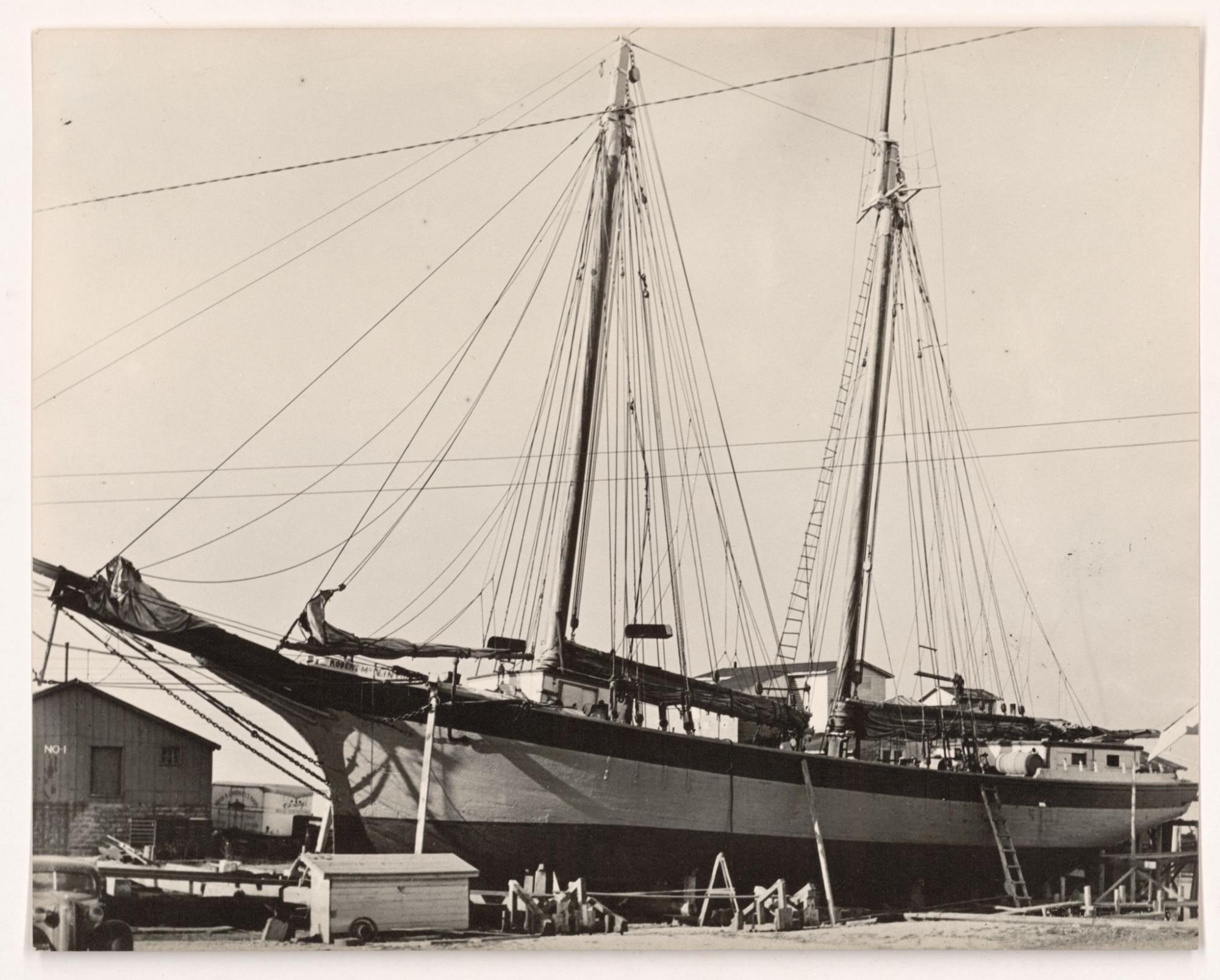 CBMM catalog image