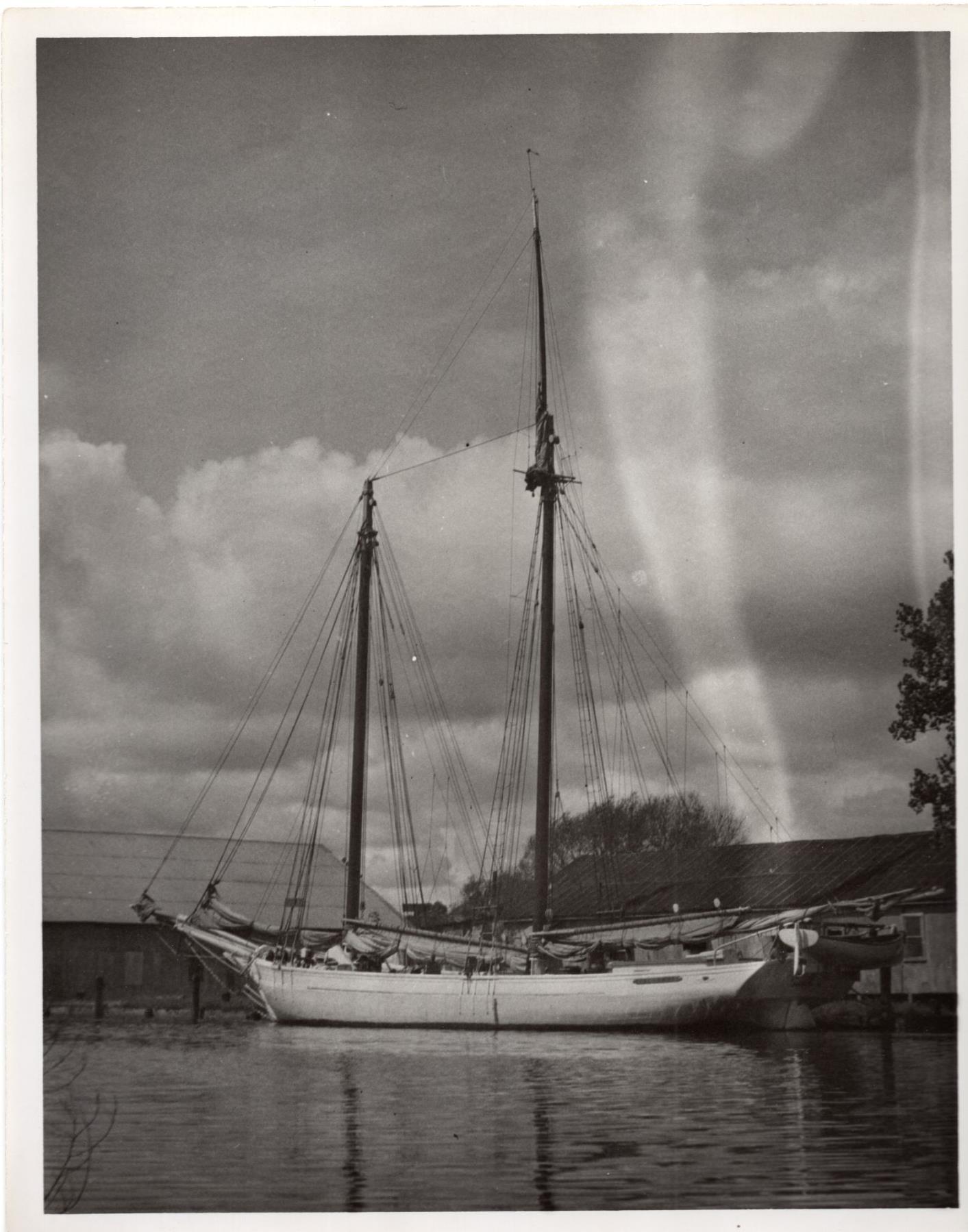 CBMM catalog image