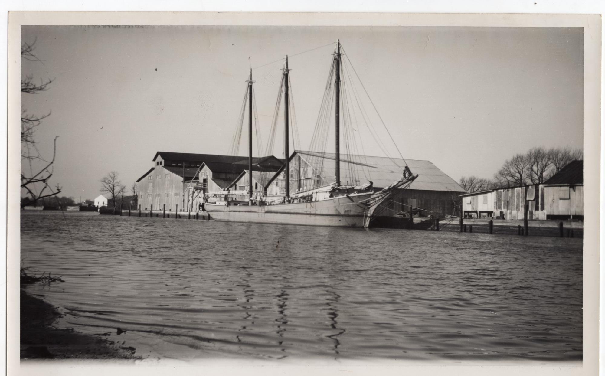 CBMM catalog image