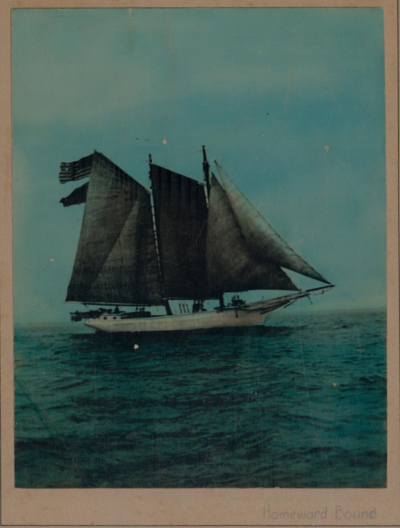 CBMM catalog image
