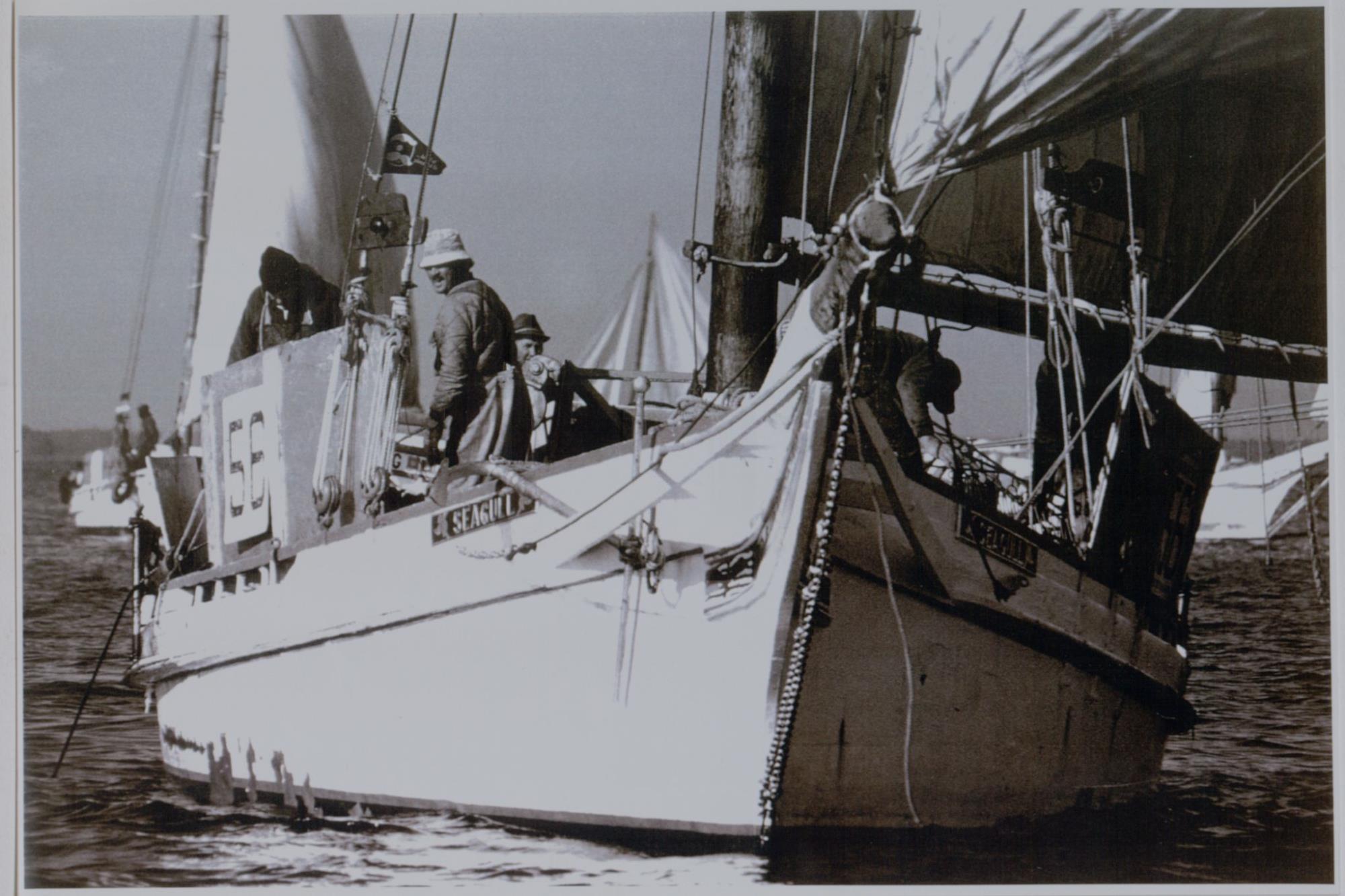 CBMM catalog image