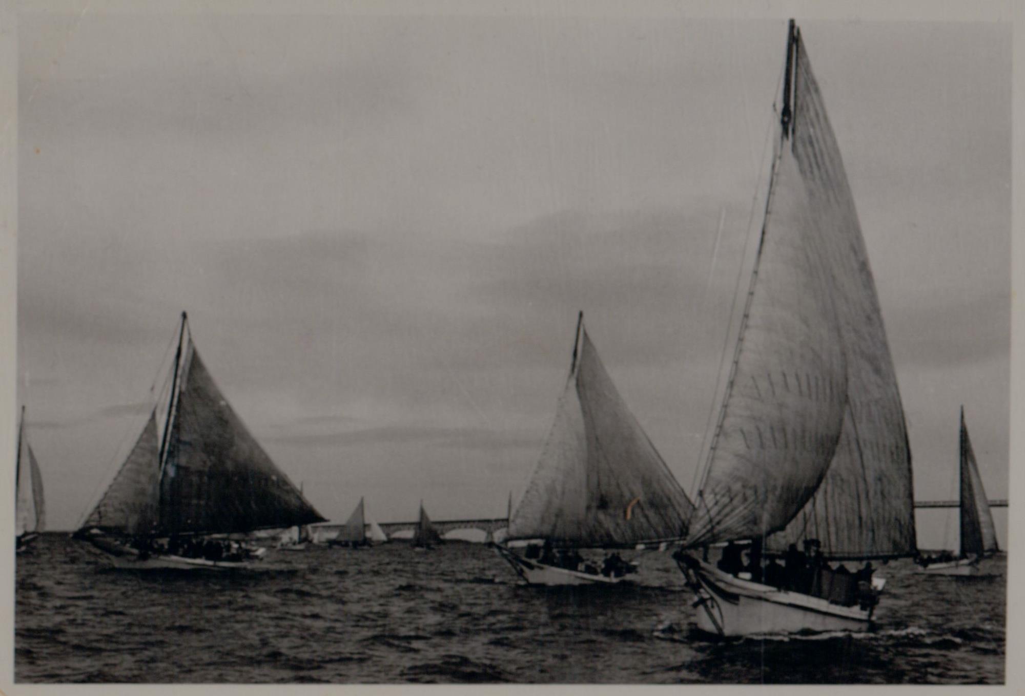 CBMM catalog image
