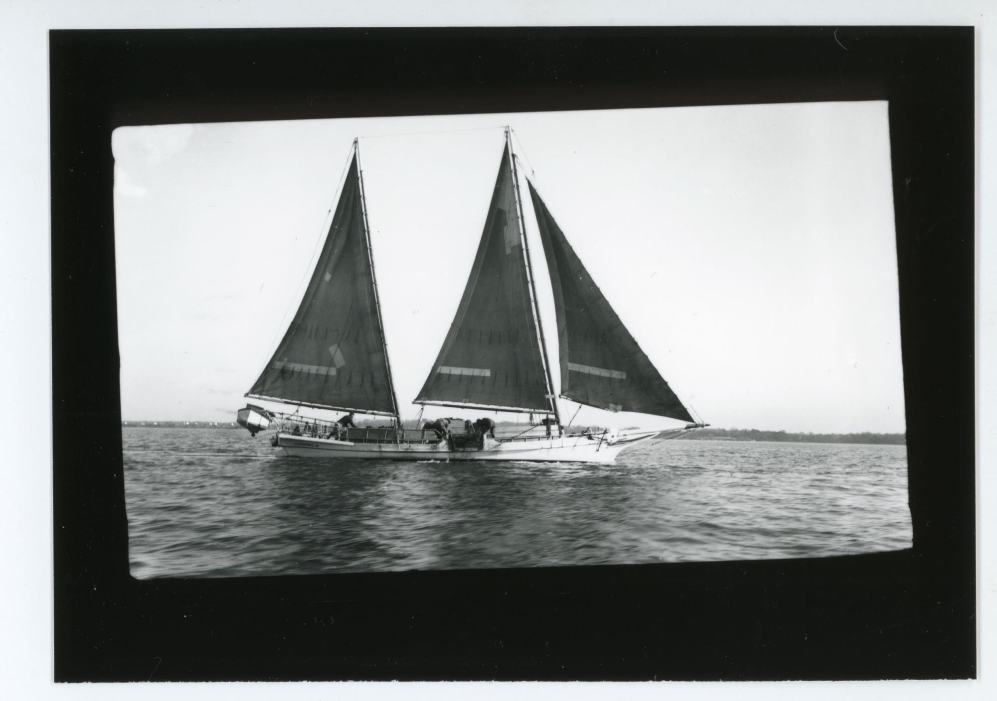 CBMM catalog image