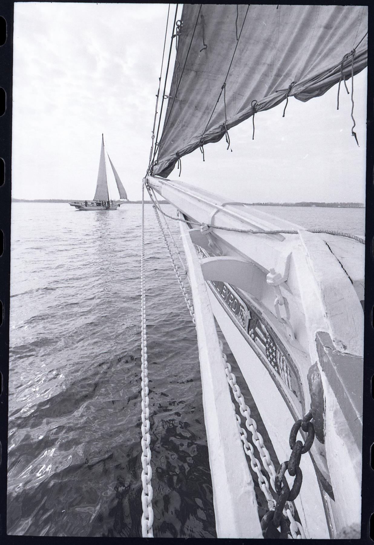 CBMM catalog image