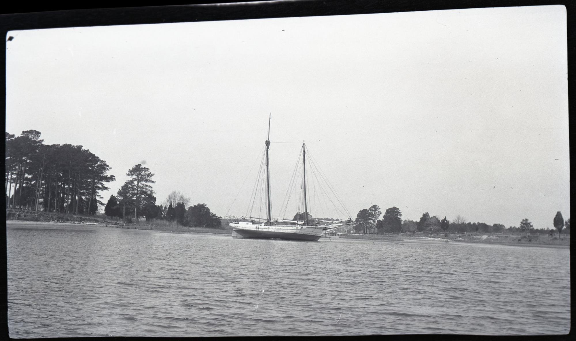 CBMM catalog image