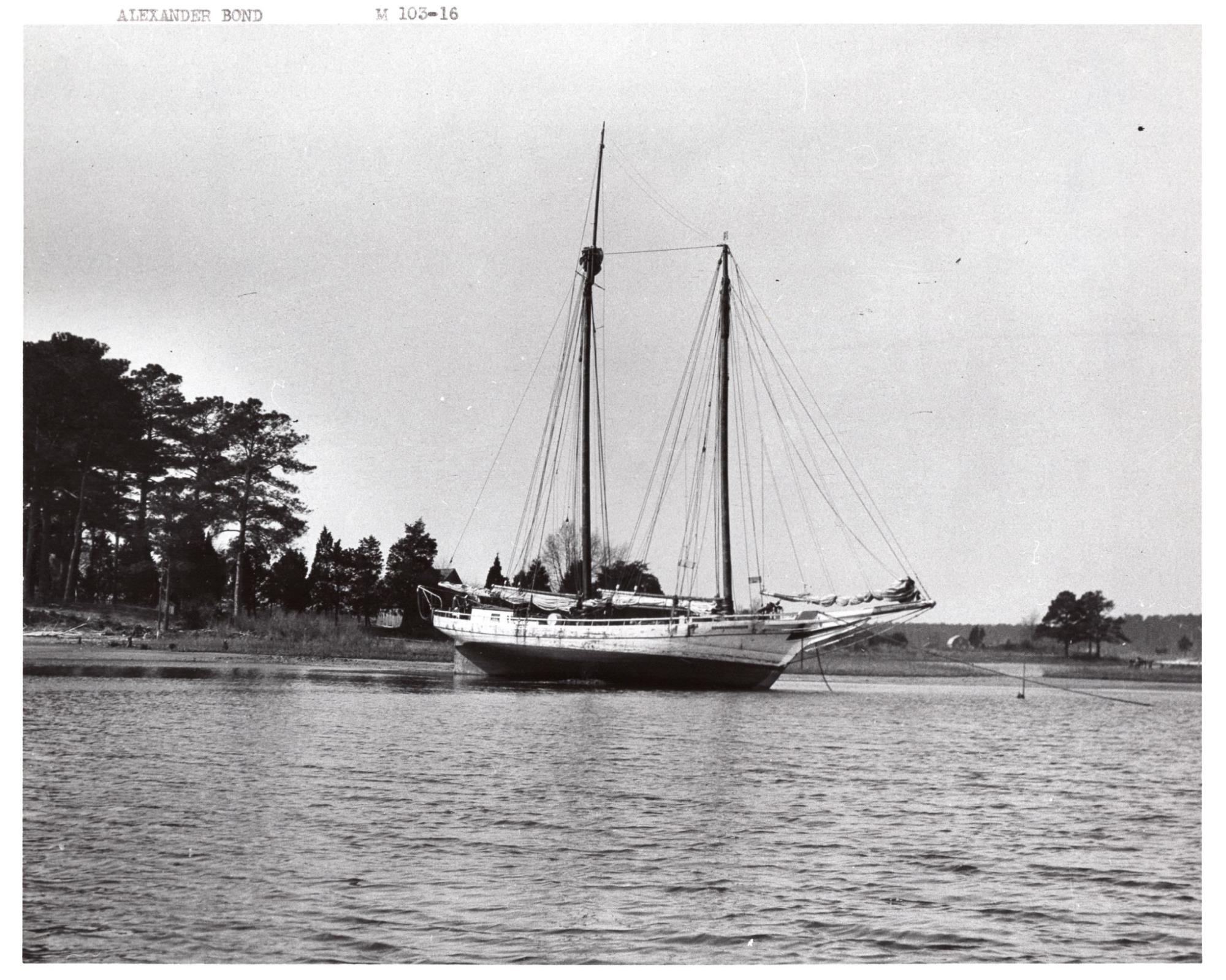CBMM catalog image
