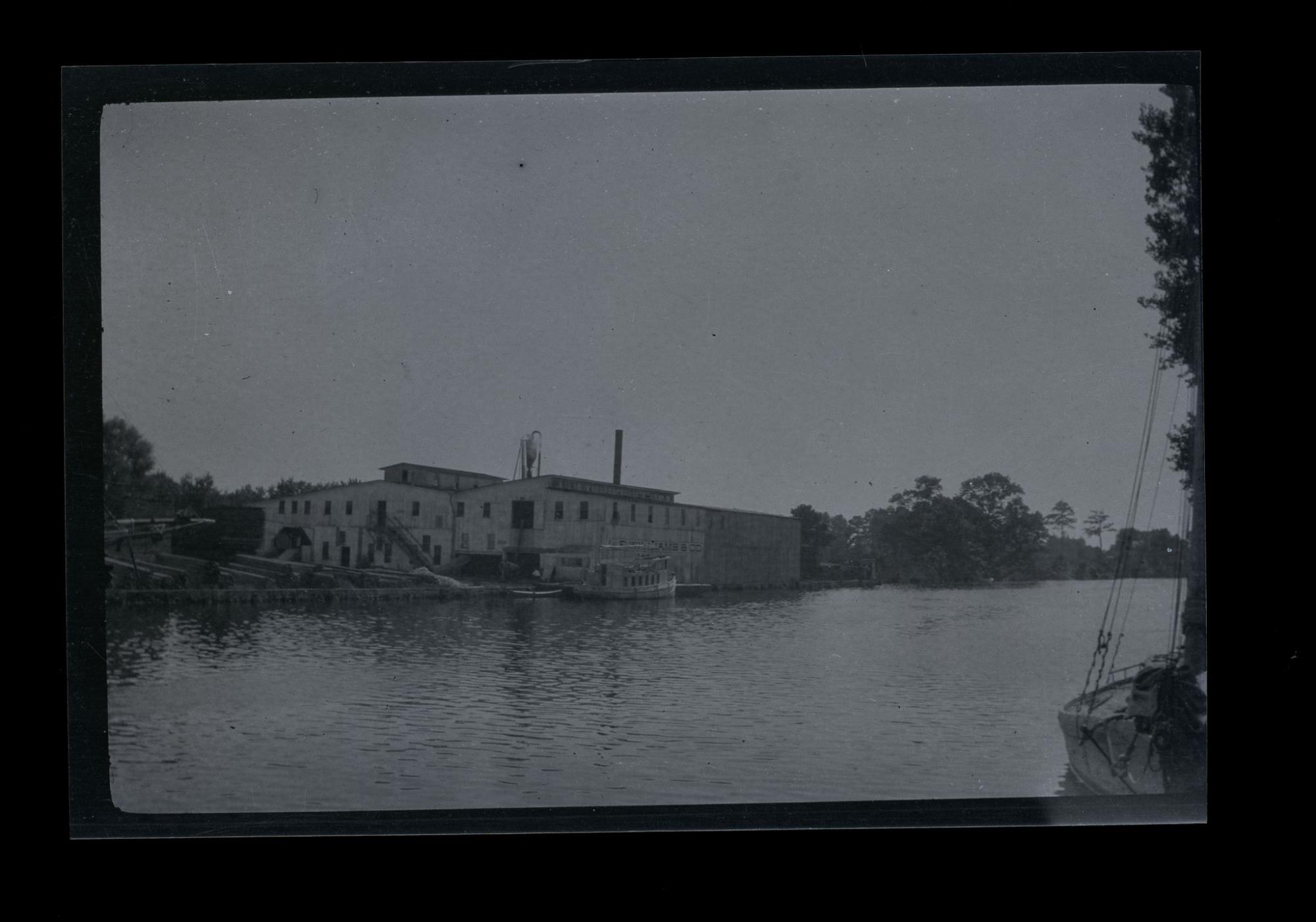 CBMM catalog image