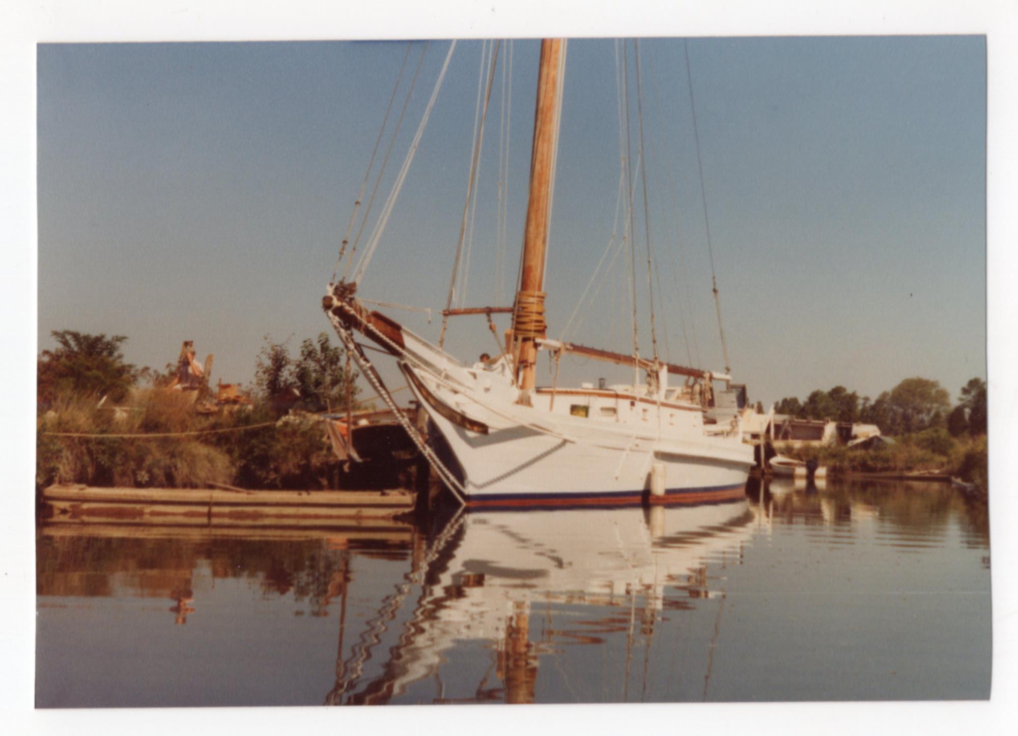 CBMM catalog image