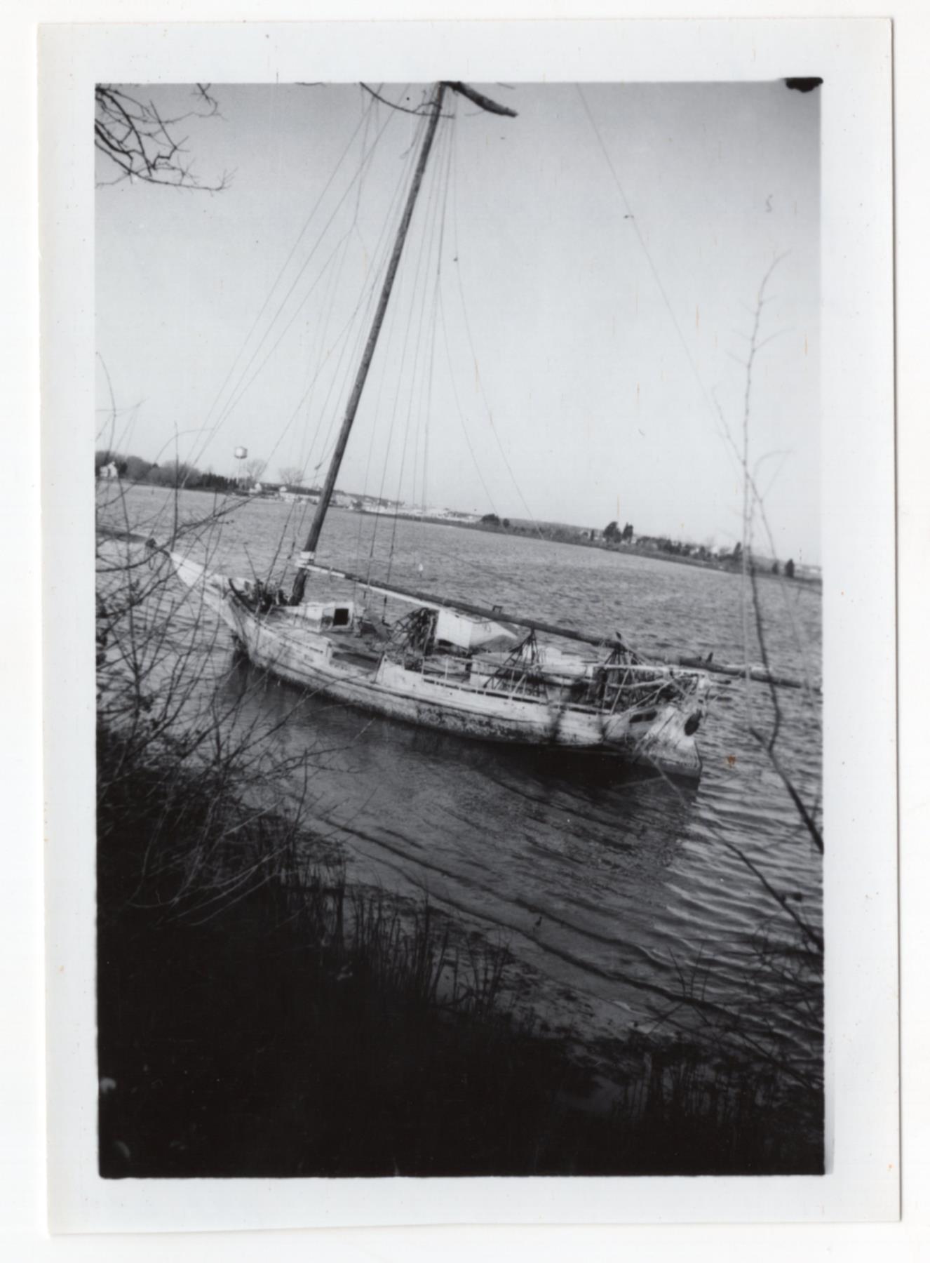 CBMM catalog image