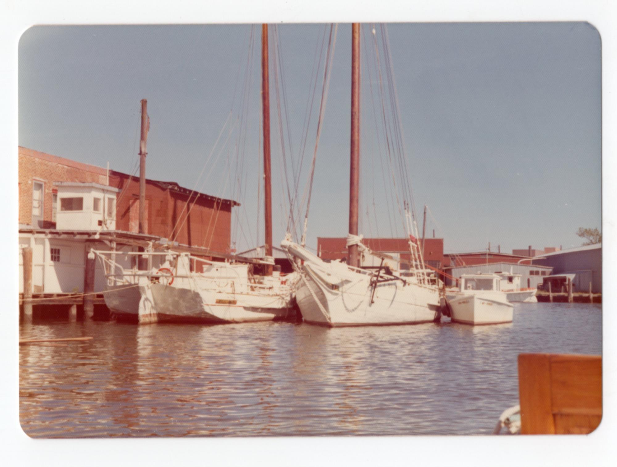 CBMM catalog image