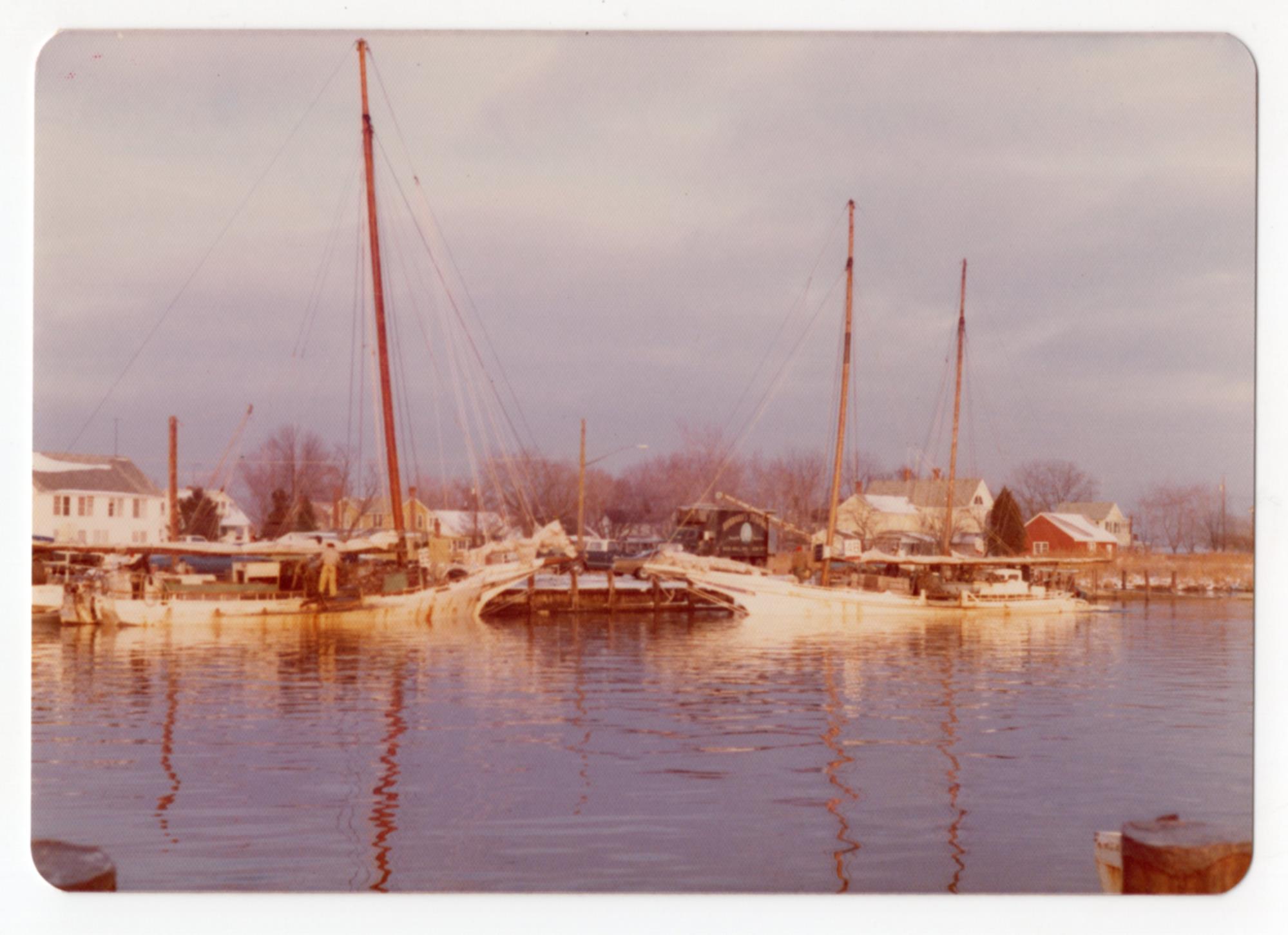 CBMM catalog image