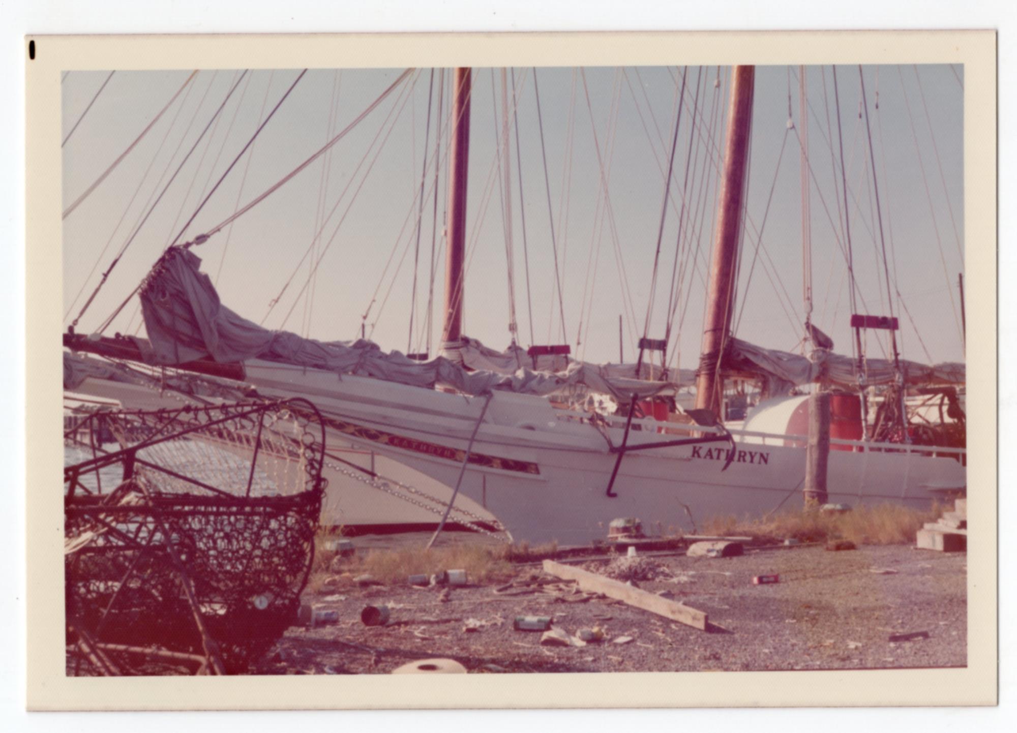 CBMM catalog image